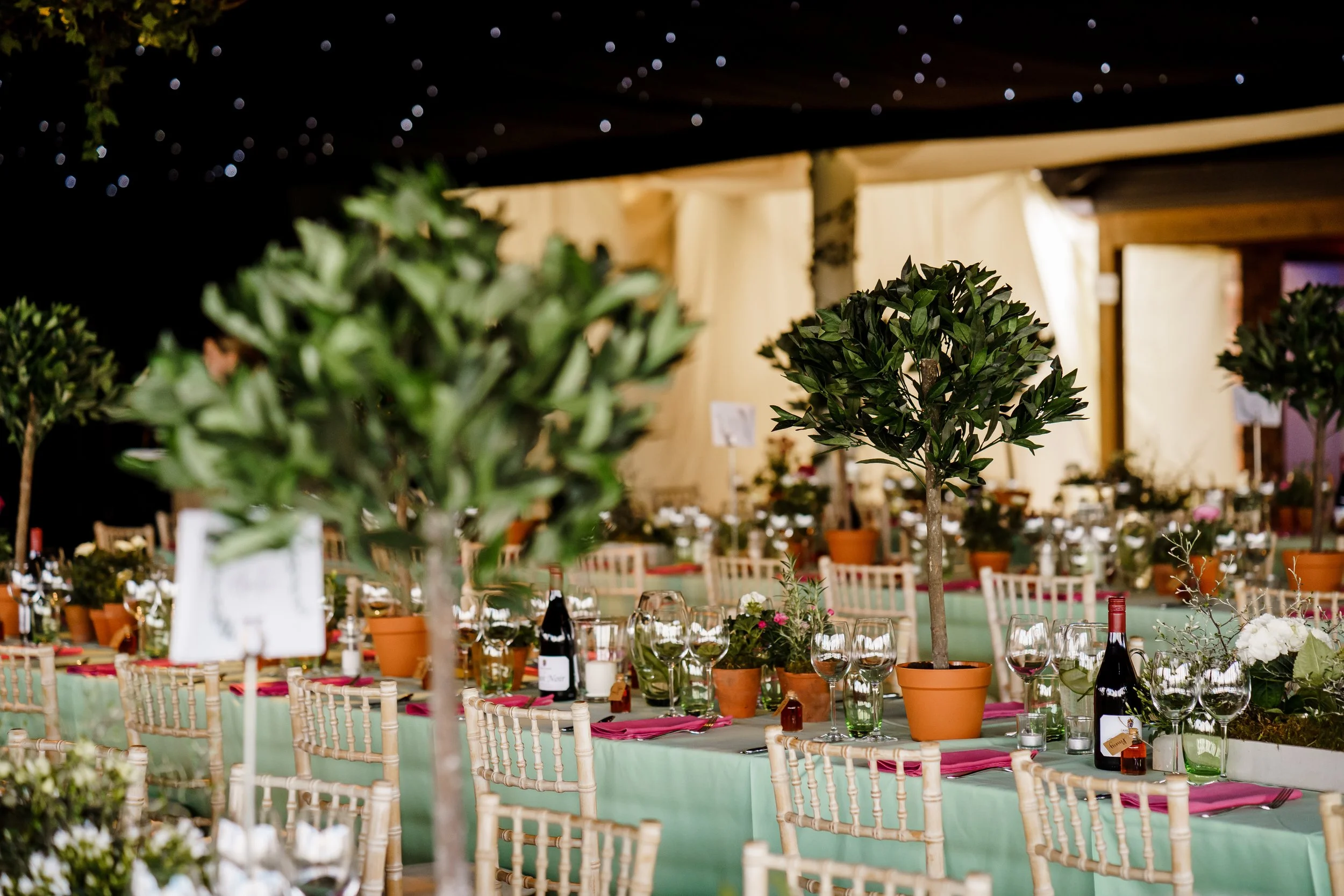 A decorated event space with long tables draped in green tablecloths, set with glasses, bottles, and floral centerpieces, featuring potted plants as centerpieces and a ceiling adorned with string lights, suggesting a festive outdoor celebration at ni