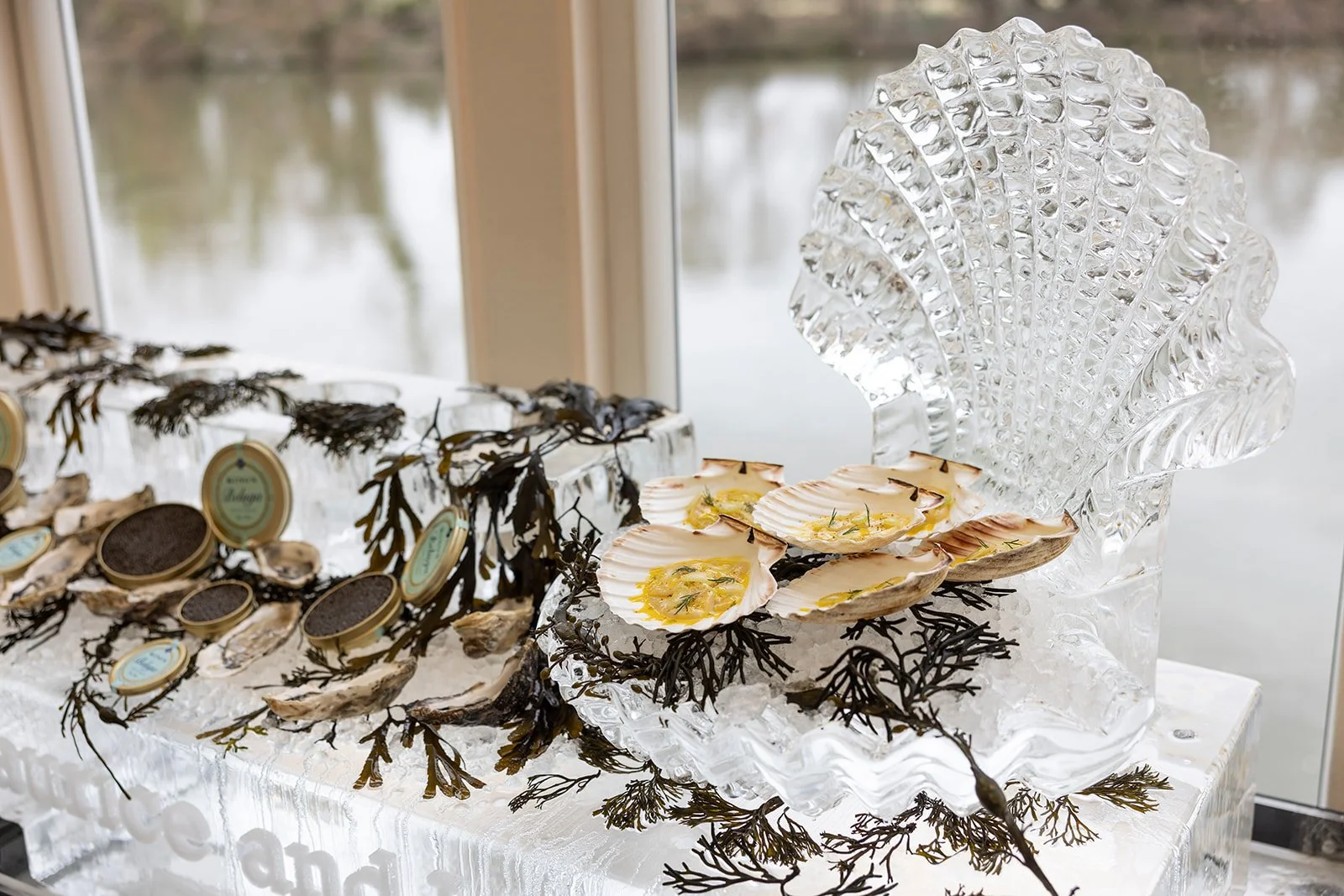 Display of shellfish on ice with a large decorative glass shell and seaweed accents near a window.