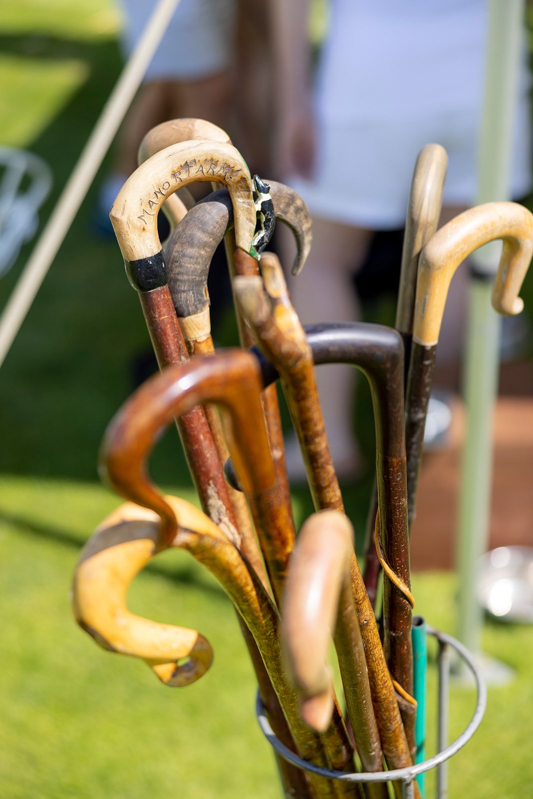 A close-up of various wooden walking sticks with curved handles, displayed against a blurred outdoor background.