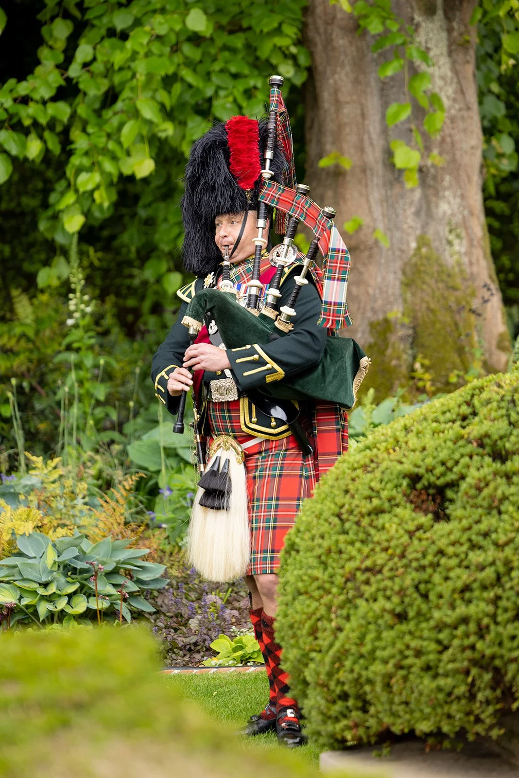 Person dressed in traditional Scottish Highland dress playing bagpipes outdoors among greenery.