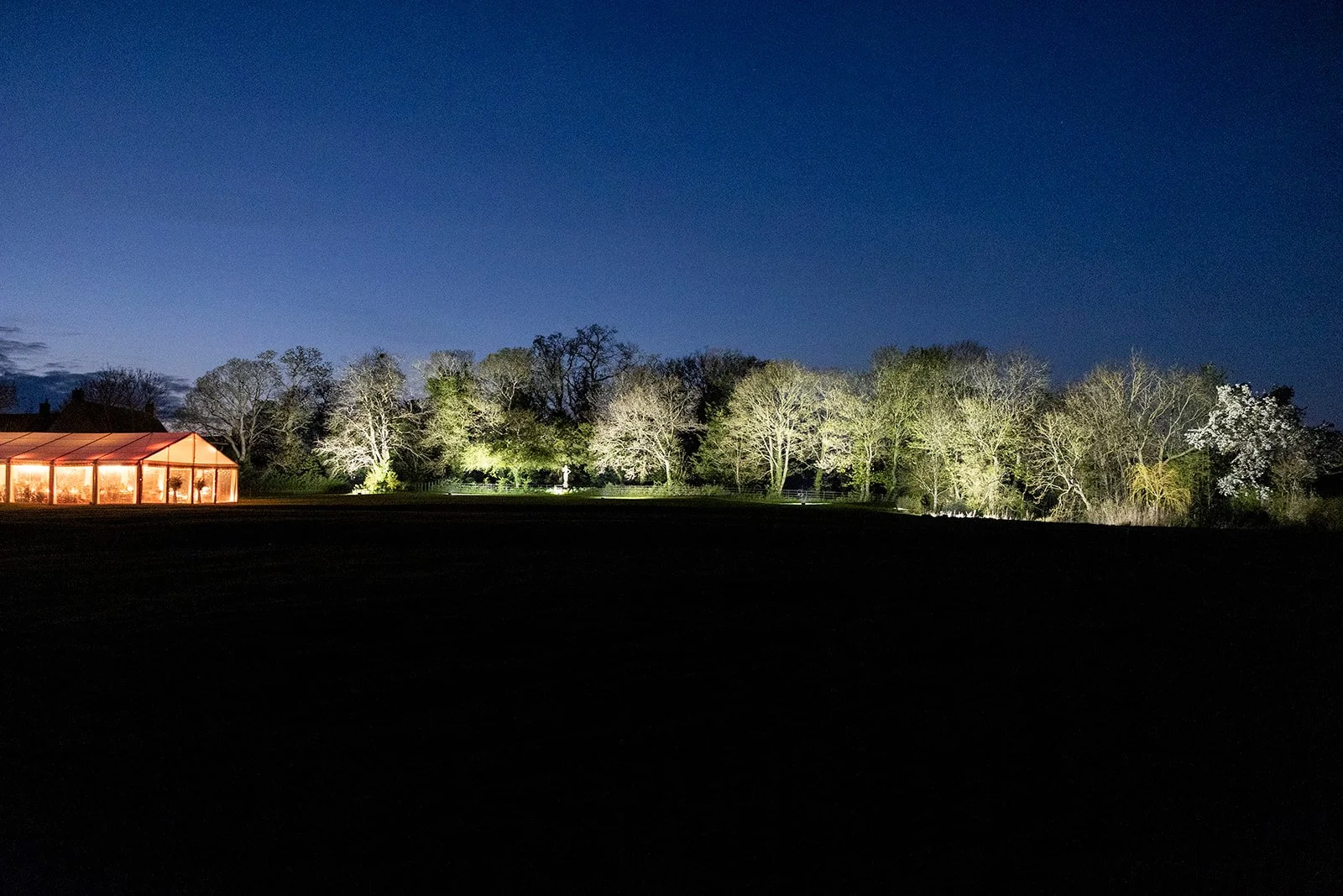 Nighttime scene of a dark field with illuminated trees and a glass structure on the left with warm lighting.