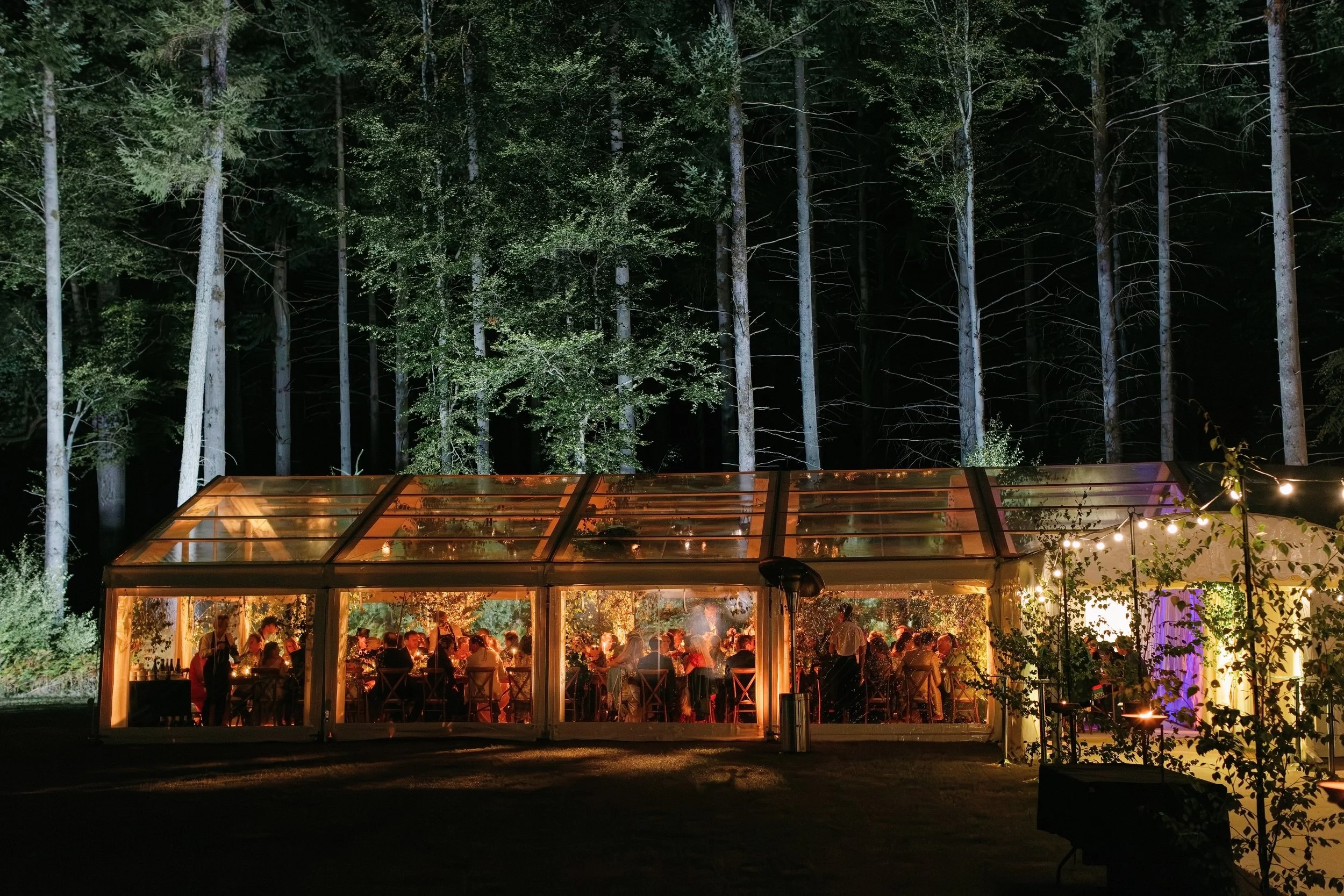 Nighttime outdoor gathering inside a glass pavilion on a wooded area with tall trees, illuminated by string lights and warm interior lighting.