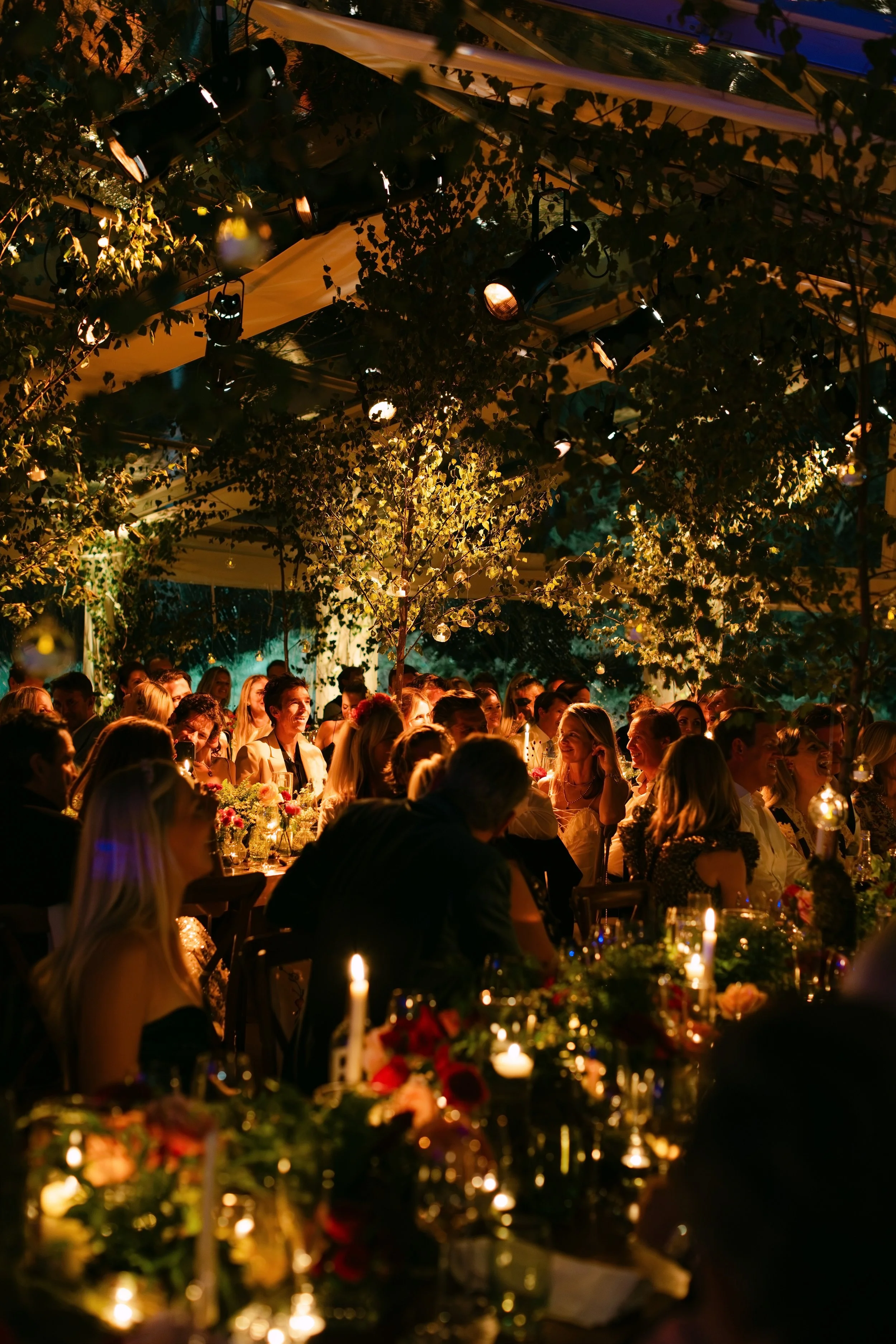An outdoor evening celebration with dim lighting, decorated tables, and people dressed in formal attire, under a canopy of string lights and foliage.