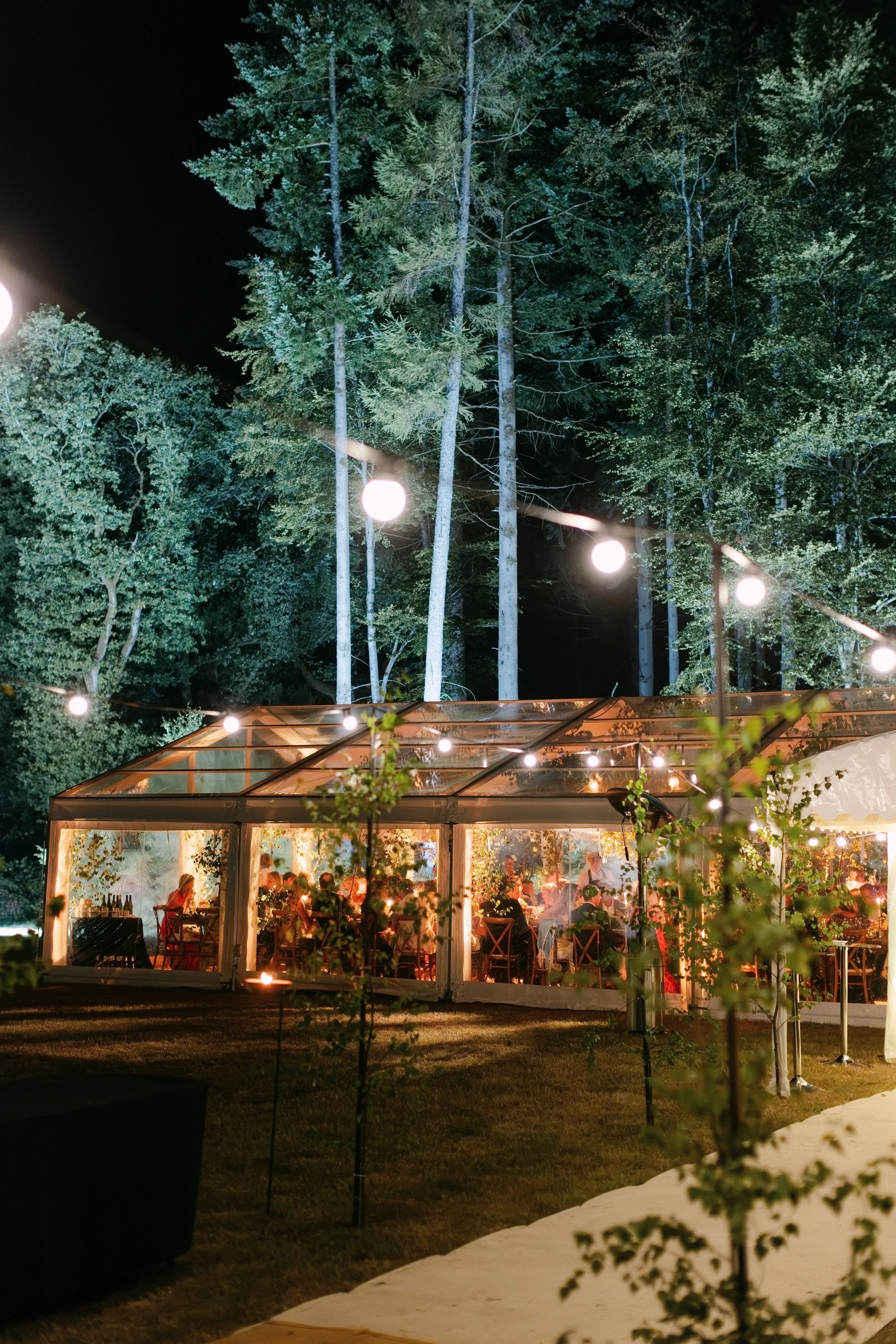 A nighttime outdoor gathering inside a glass-enclosed tent with string lights, surrounded by tall trees and a dark sky.
