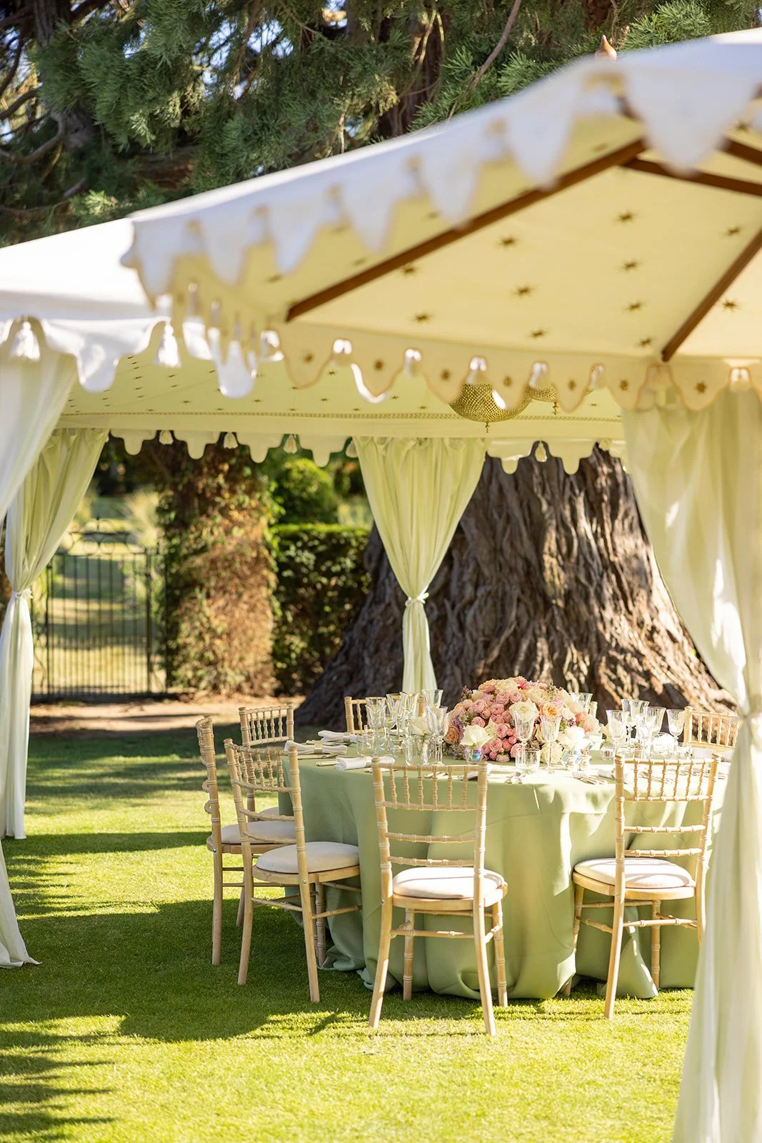 Elegant outdoor wedding reception table under a cream canopy with cream curtains and leafy decorations, set on a green lawn with a flowering centerpiece and fine glassware.
