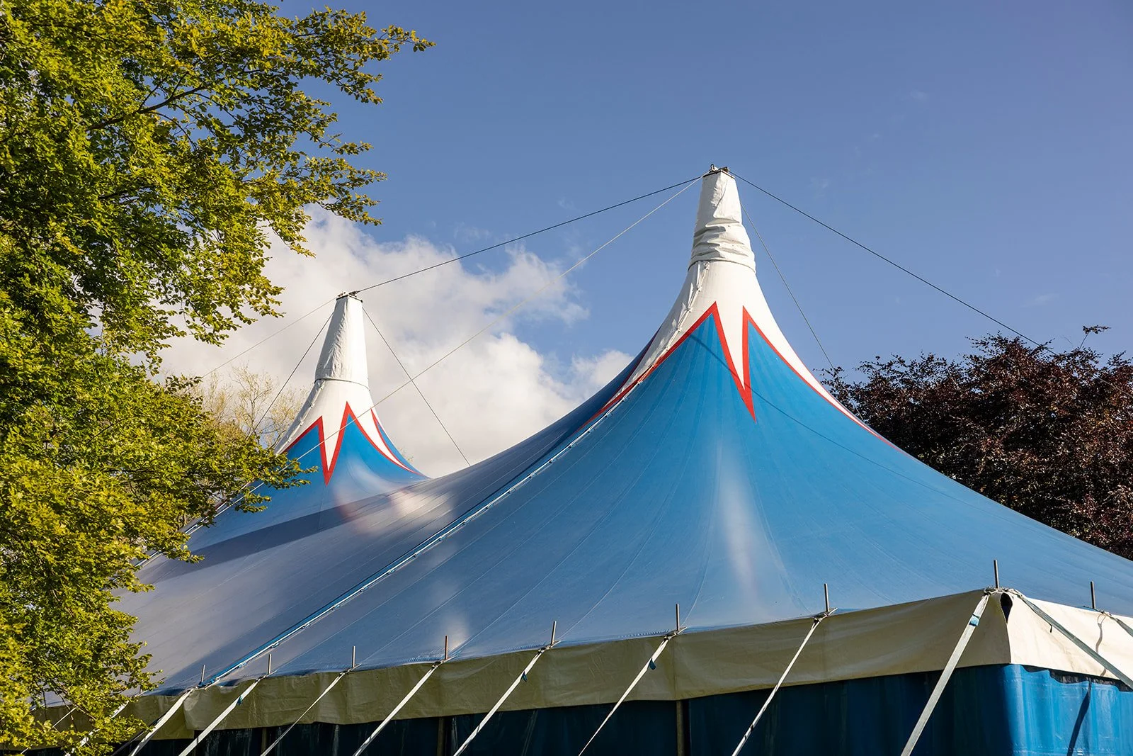 A large blue and white circus tent with pointed peaks, surrounded by green trees and a clear blue sky.