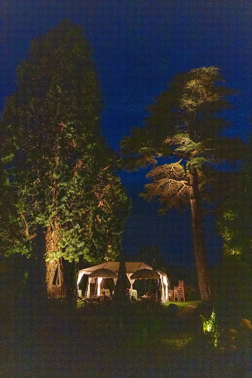 Nighttime scene of an outdoor event setup with tents and chairs under large trees, illuminated by lights.