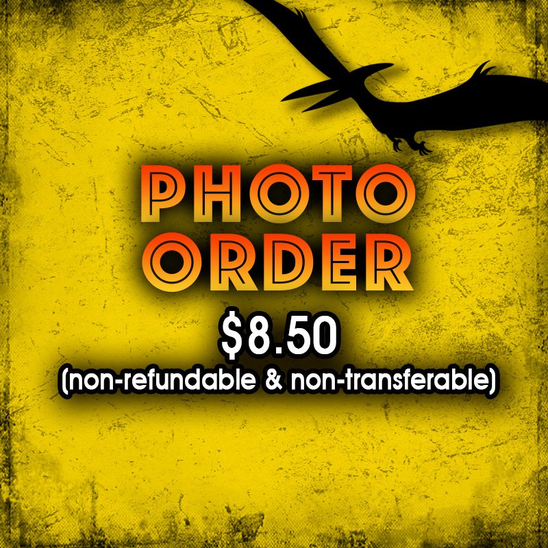 e-kidz children's camp photo printing services for $8.50, with a black bird silhouette in the upper right corner on a yellow textured background.