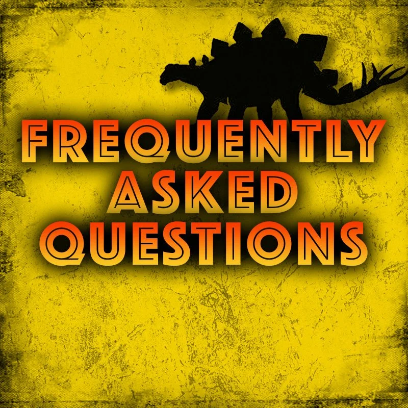 e-kidz children's camp FAQ