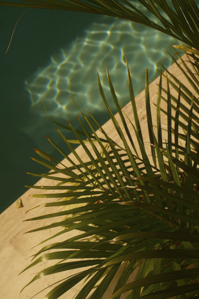 DSCF3049.png