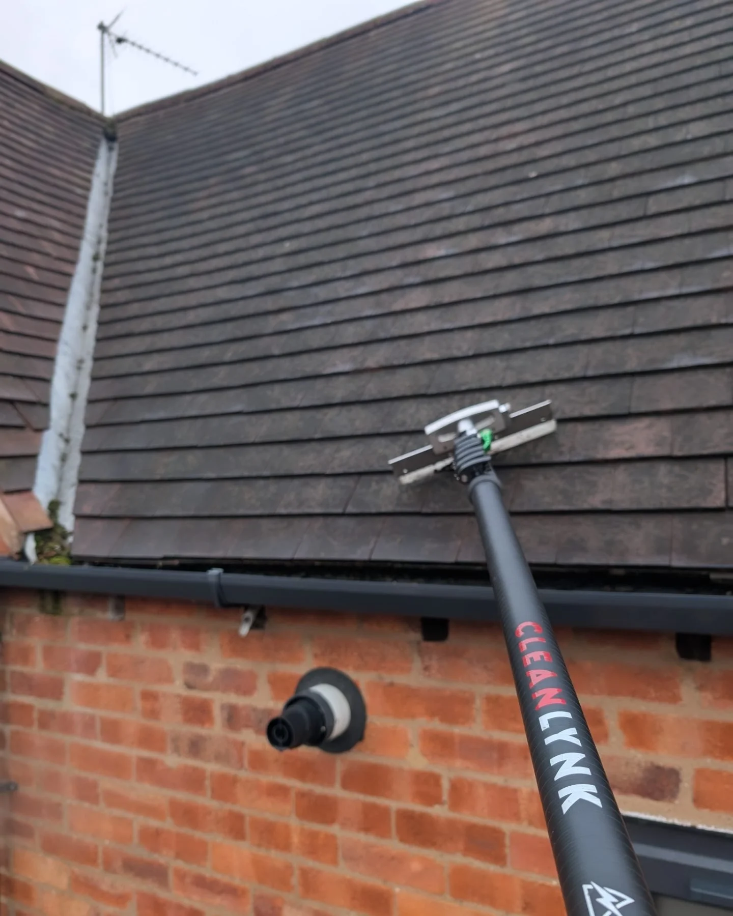 A roof after it has been cleaned using a scrape and treatment method