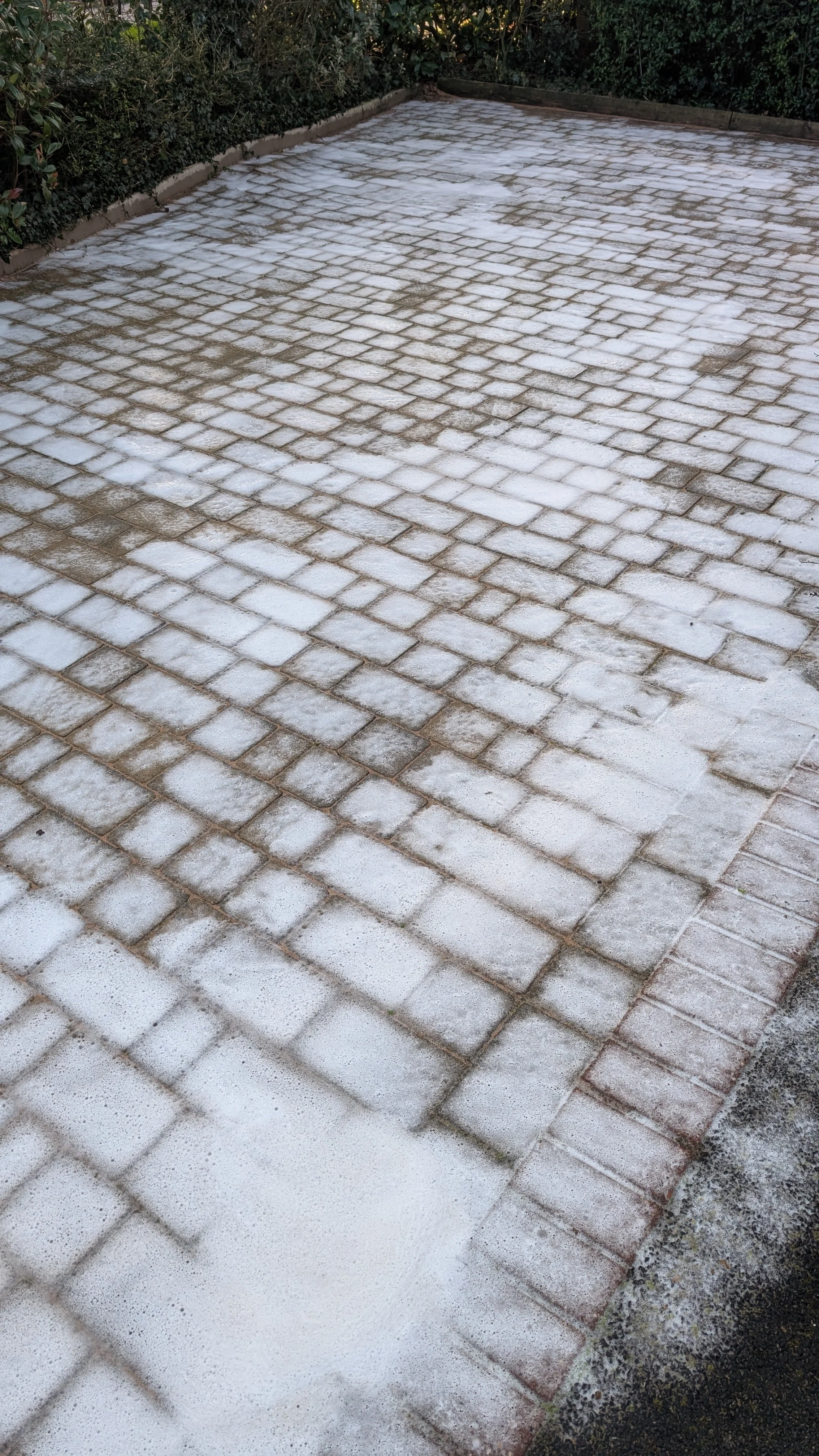 Block paved driveway during a chemical application. Ready to be pressure washed and rinsed.