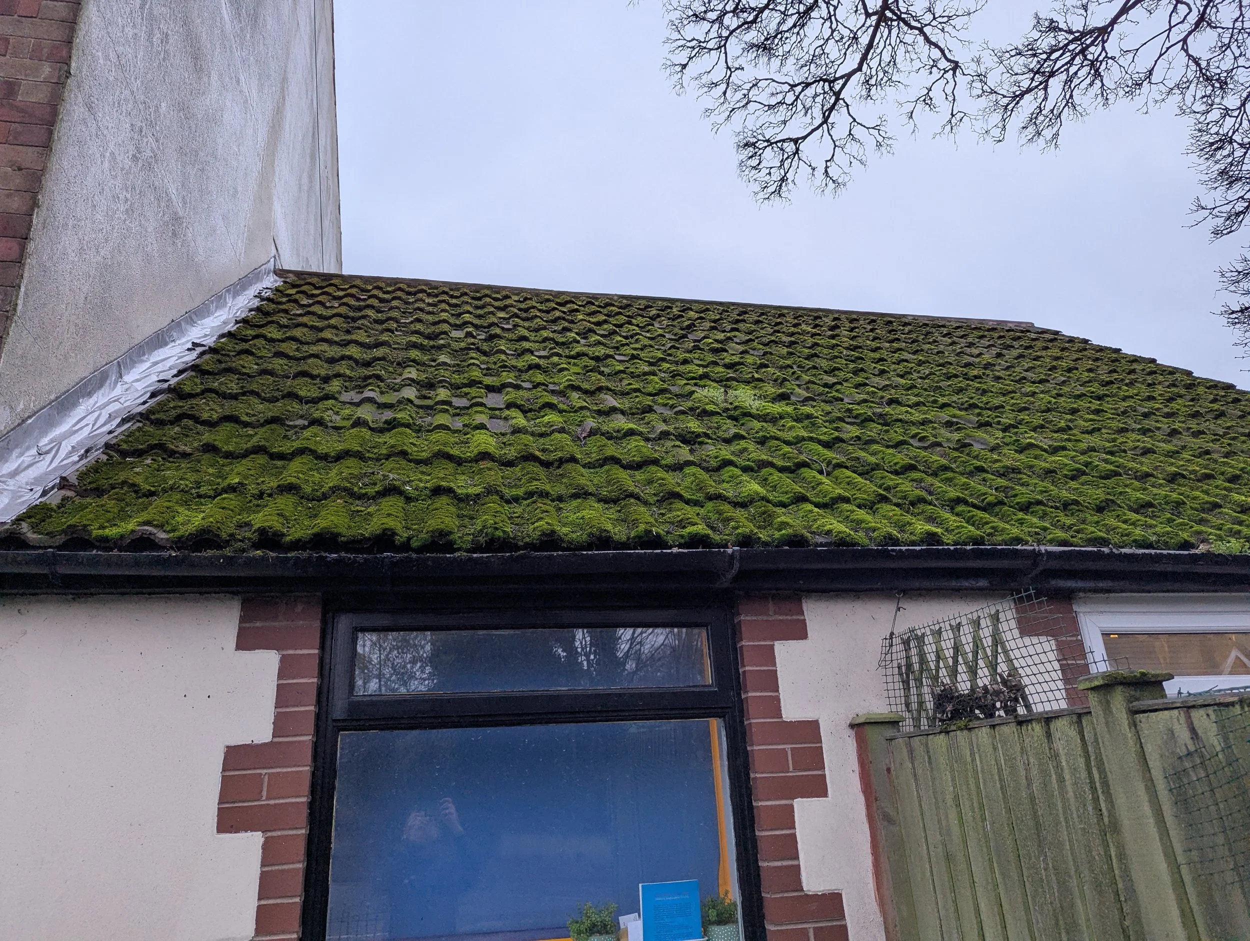 Moss-covered roof of a brick building with a large window, partially visible fenced yard, and cloudy sky.