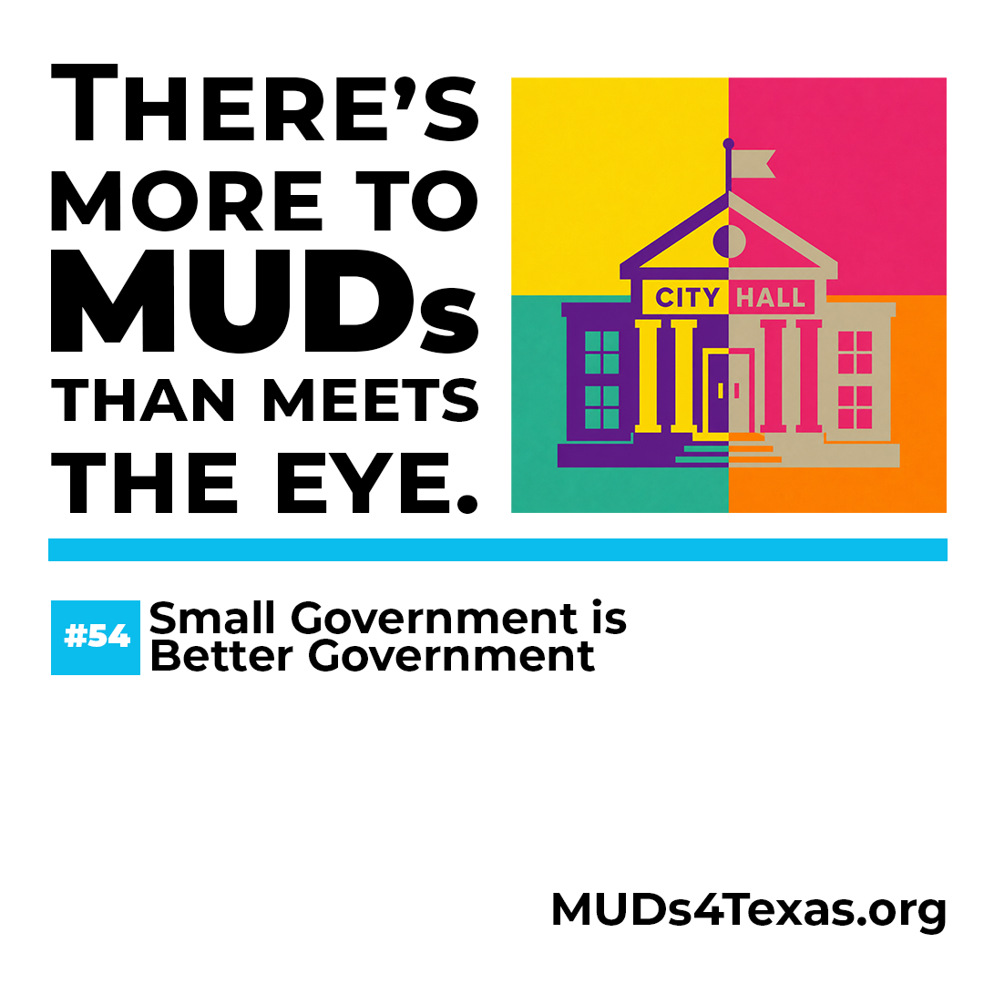 54 small government.png