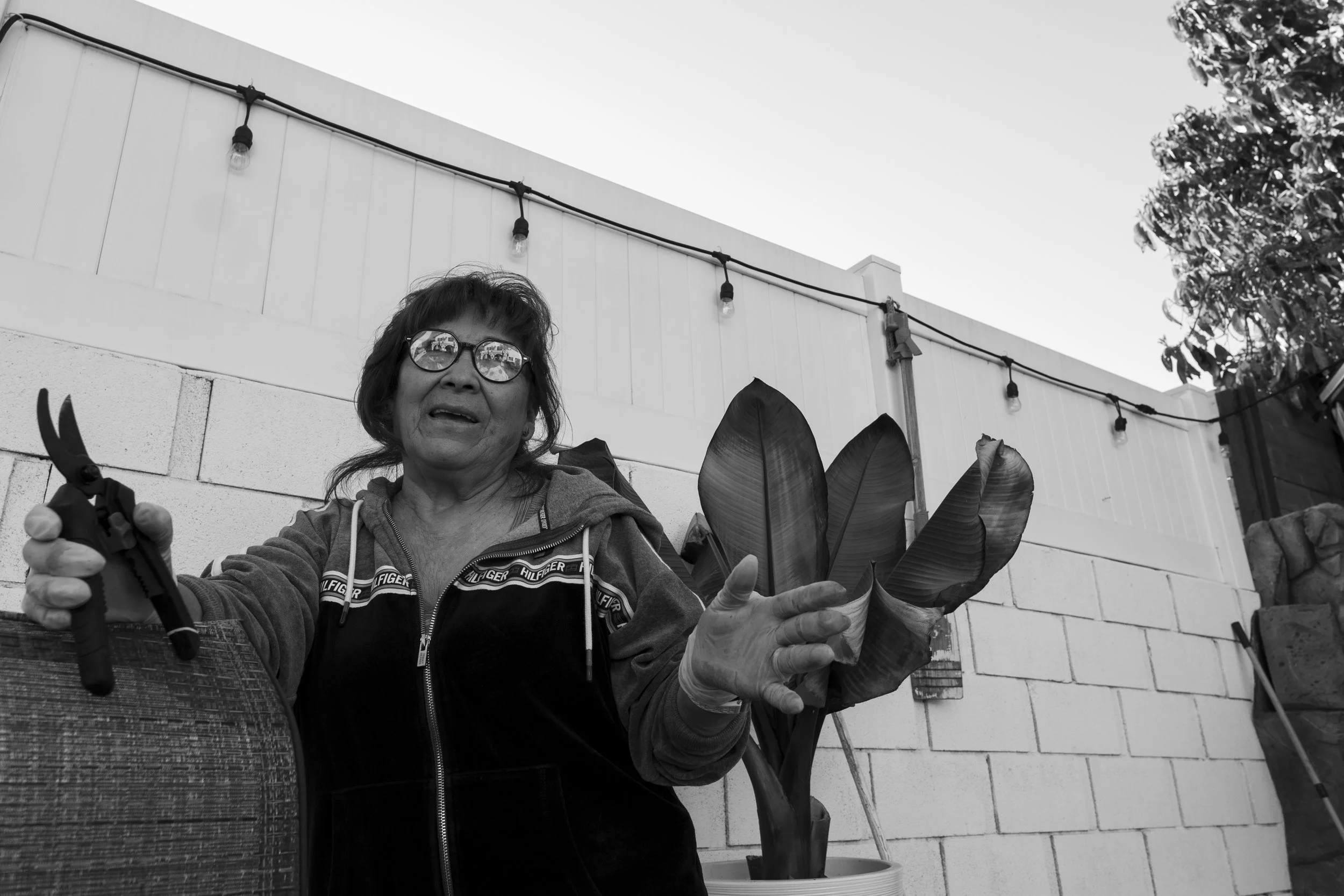 My grandma takes a break from yard work to talk about her story of coming from Bolivia to America, and making efforts to work hard from a young age with the goal of owning a home in which to raise a family one day. The home, which has now been a fami