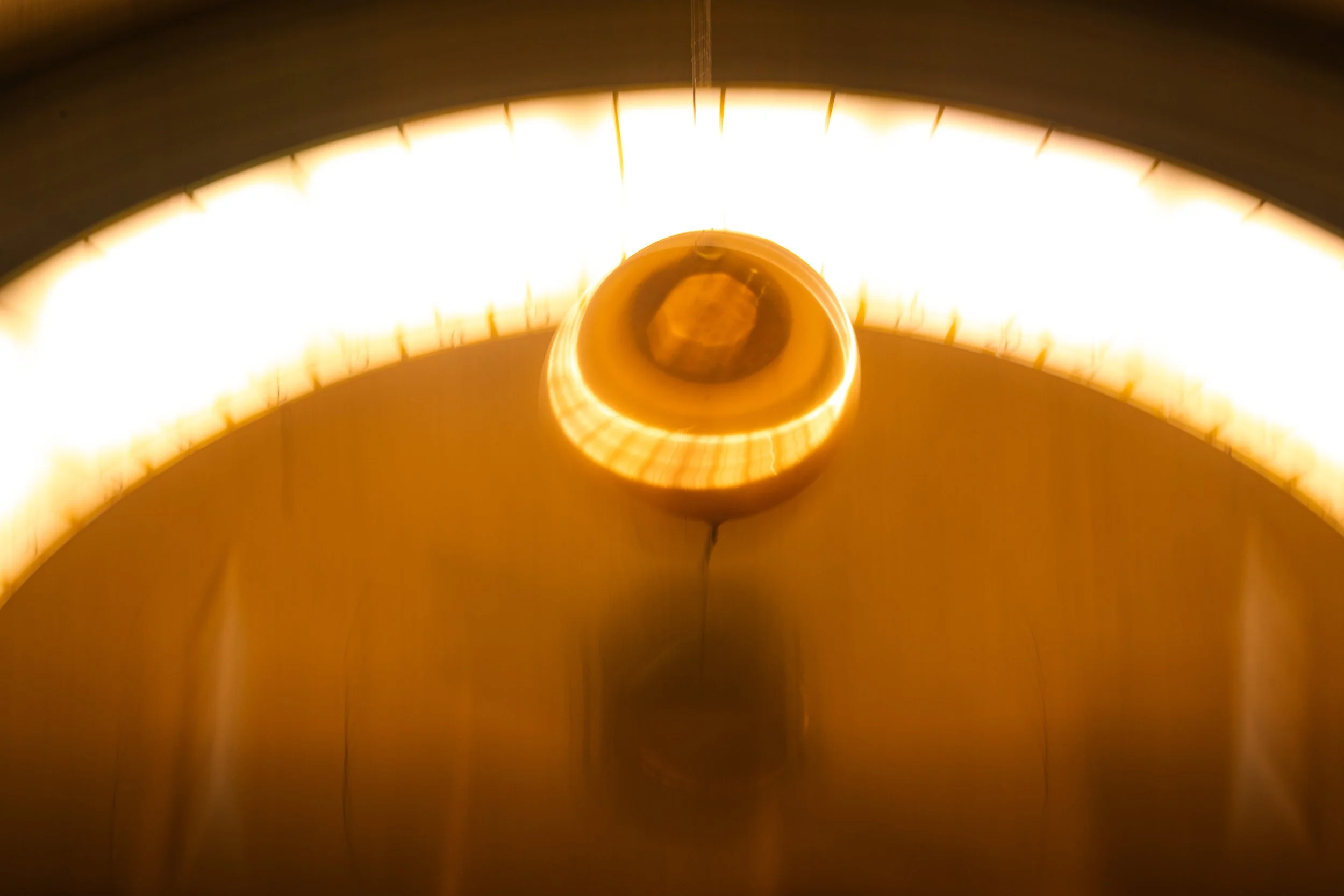 DSC02069.jpeg