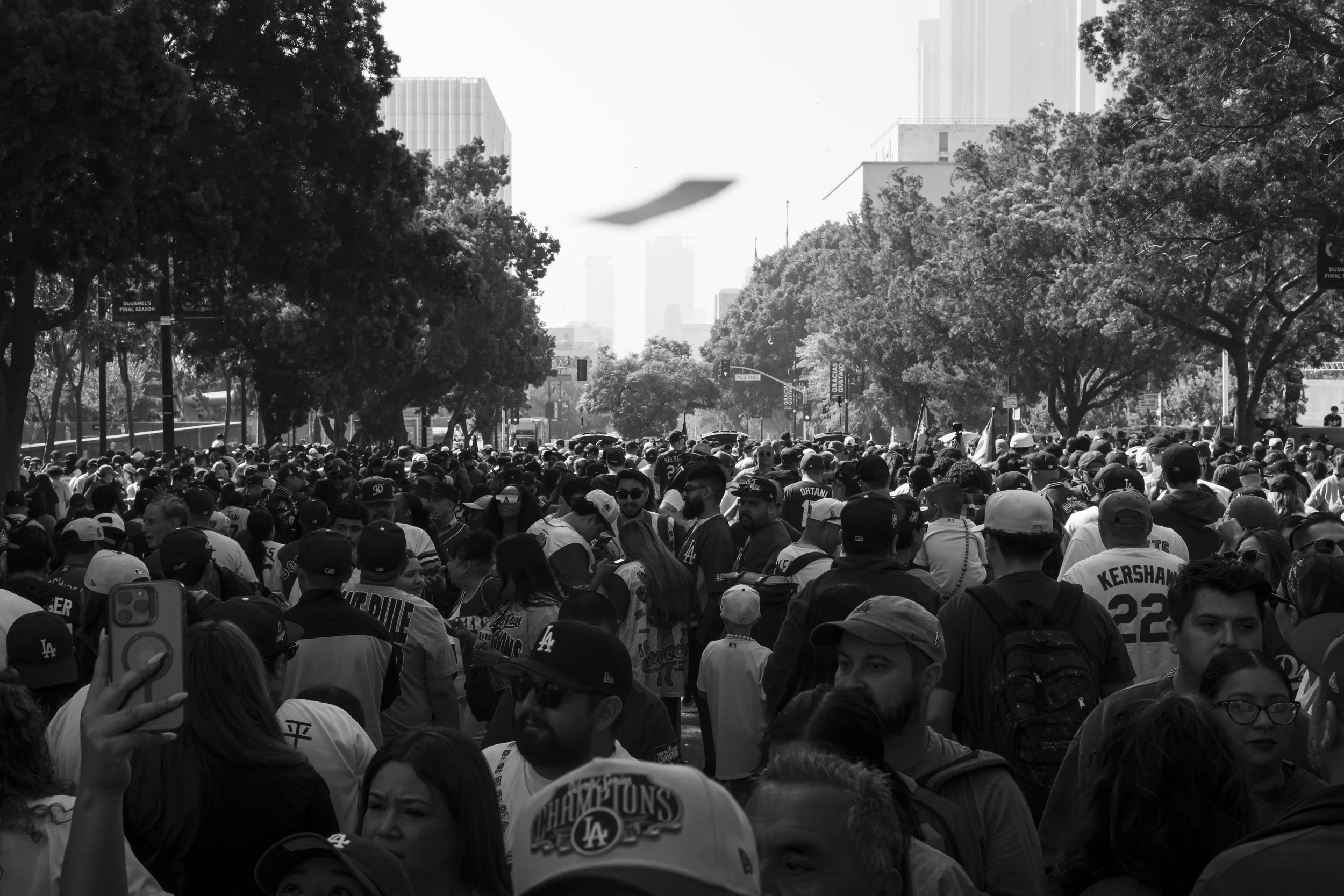 DSC00646 copy.jpg