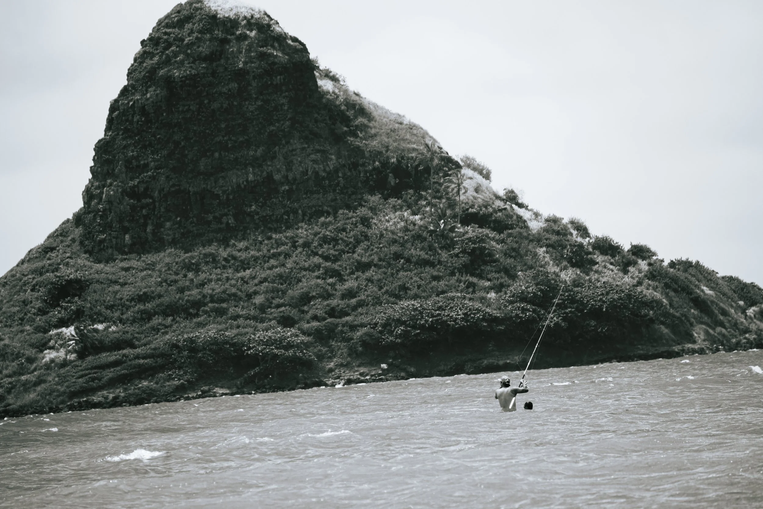 DSC02364-2.jpg