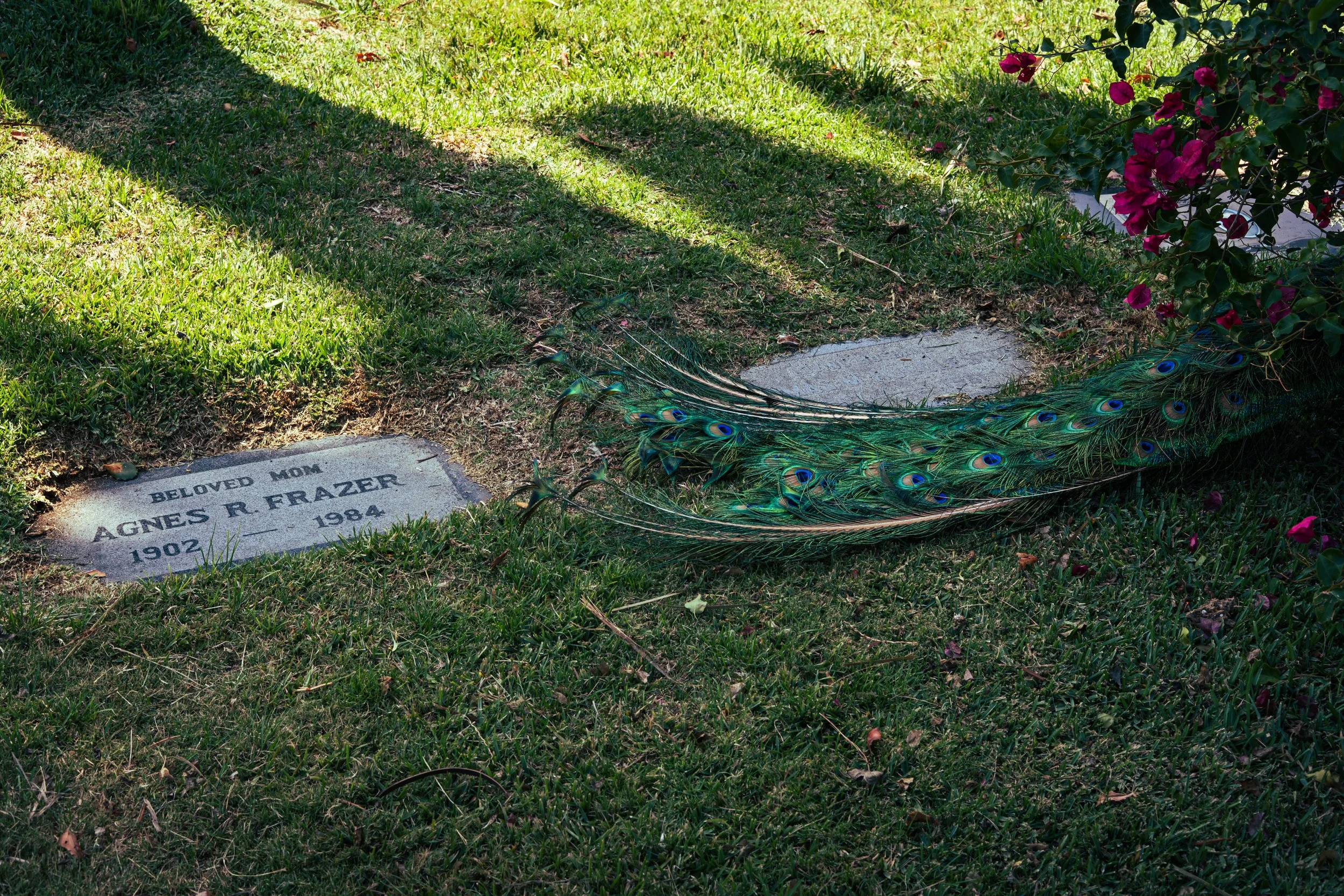 DSC01453.jpeg