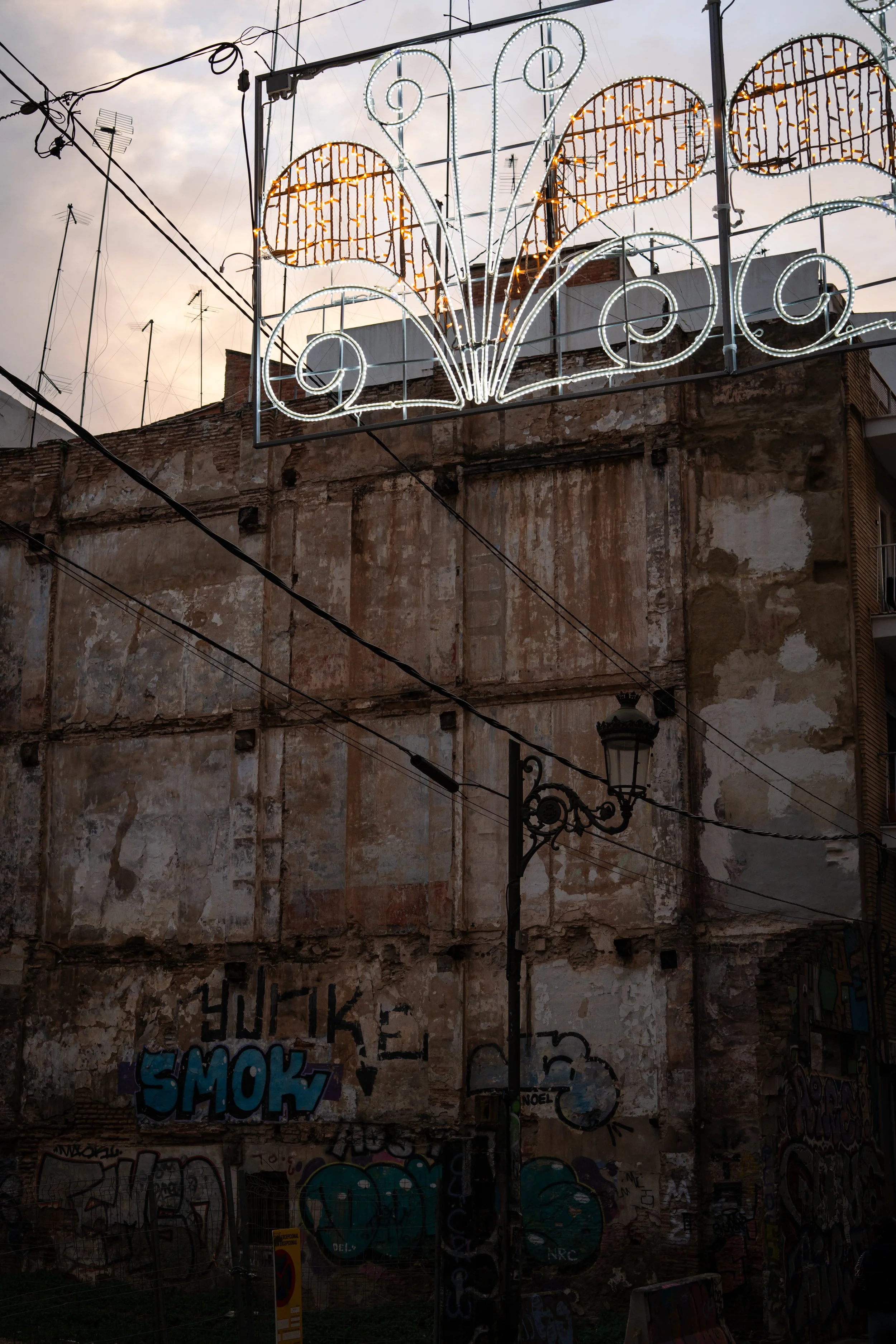 DSC05884.jpg