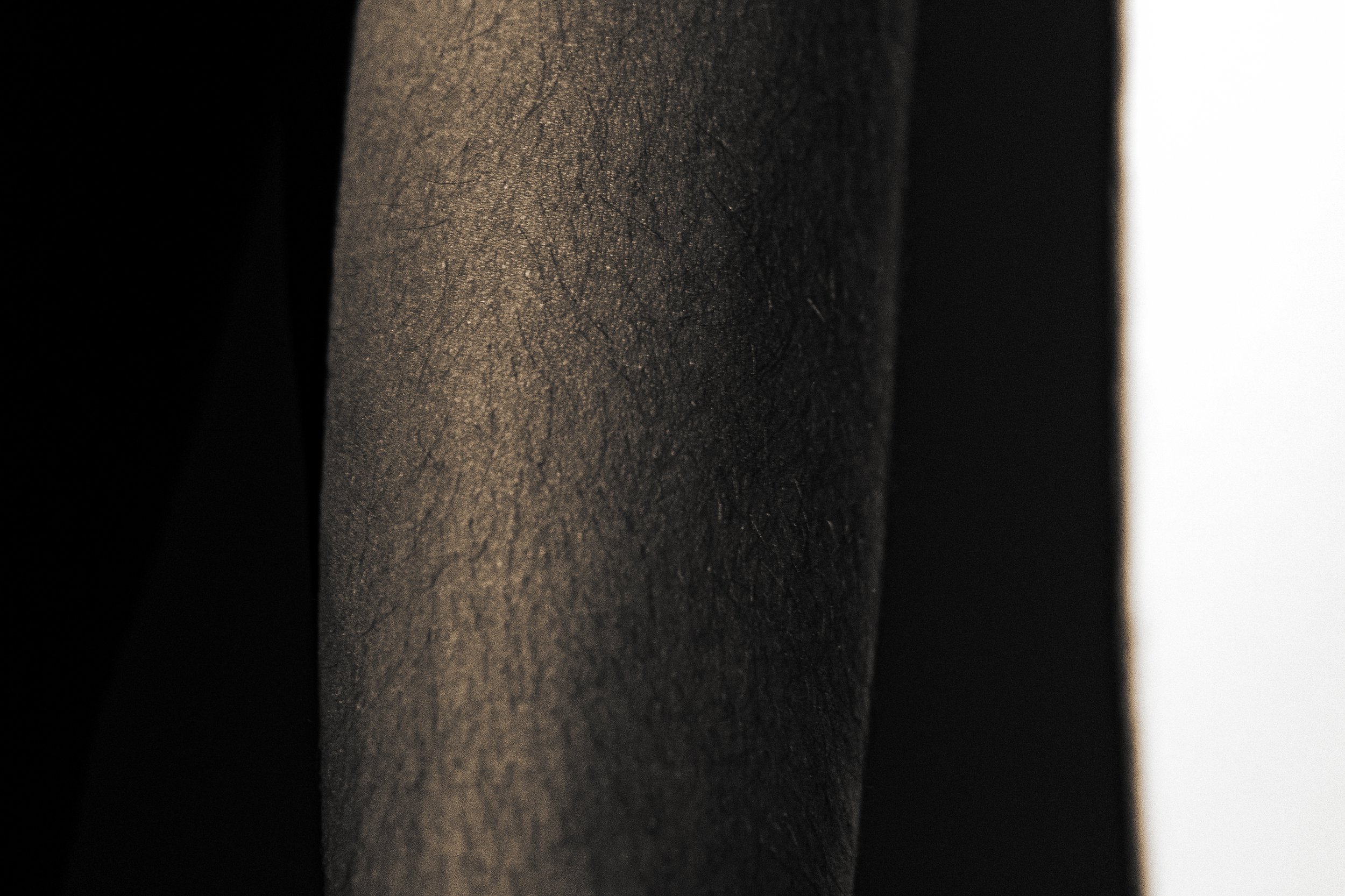 bodylandscape_josiahalvarado10.jpg