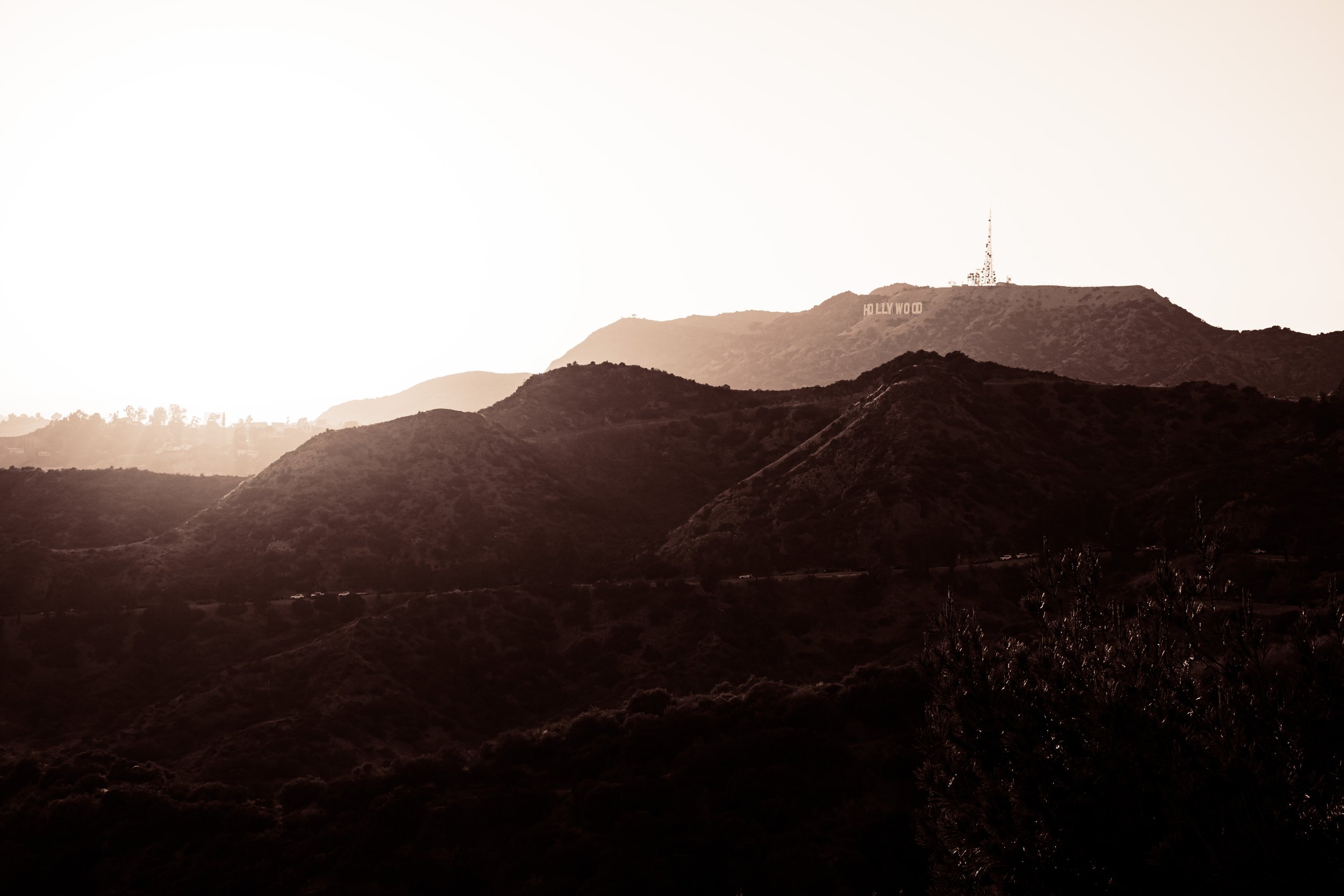 DSC01801-2.jpeg