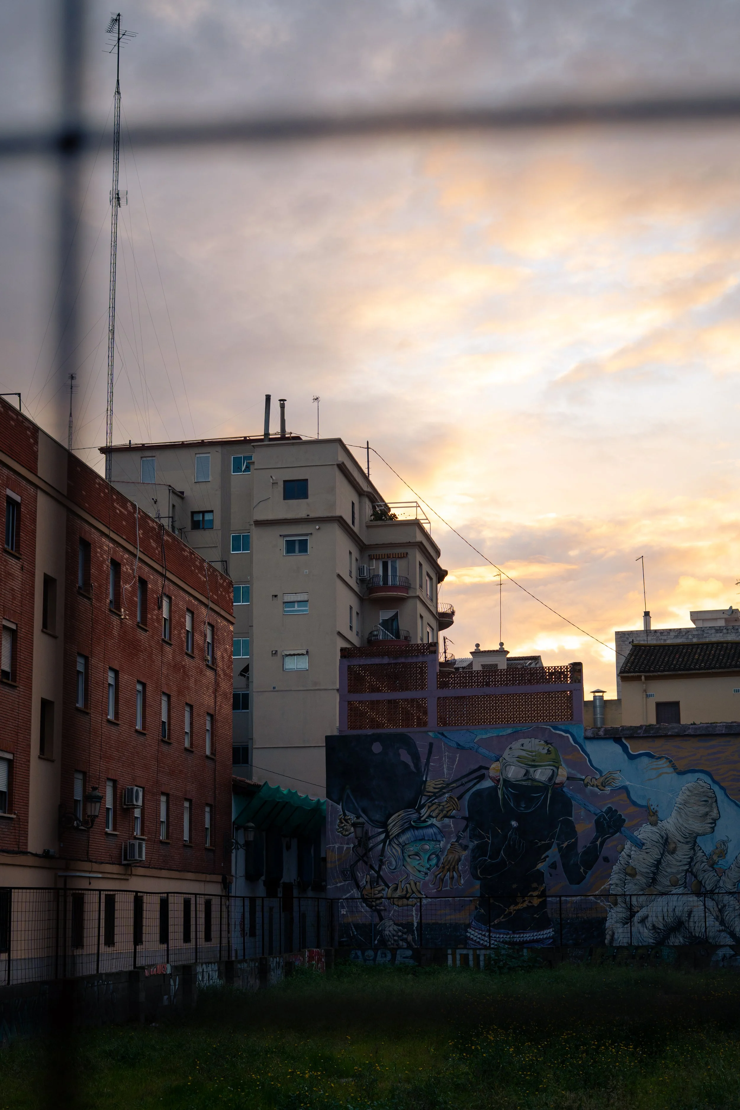 DSC05922.jpg