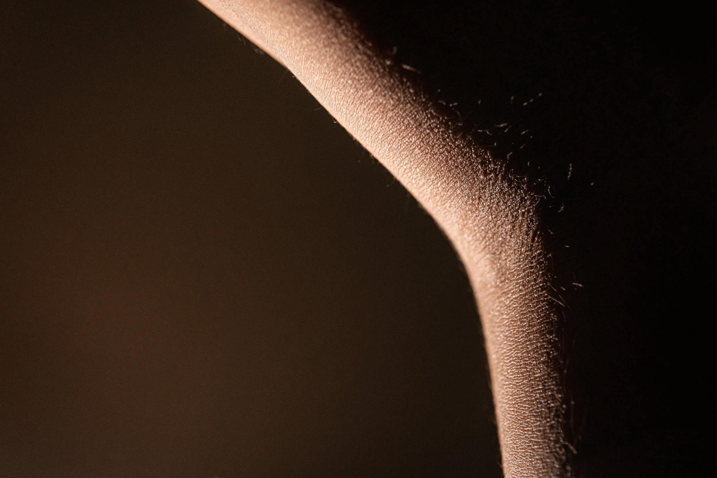 bodylandscape_josiahalvarado03.jpg