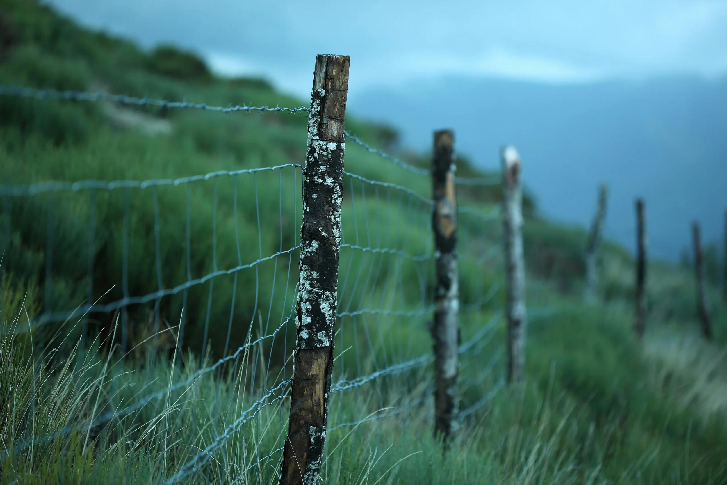 Boundaries Aren’t Anti-Connection—They are the antidote and medicine need to heal relational chaos and self abandonment
