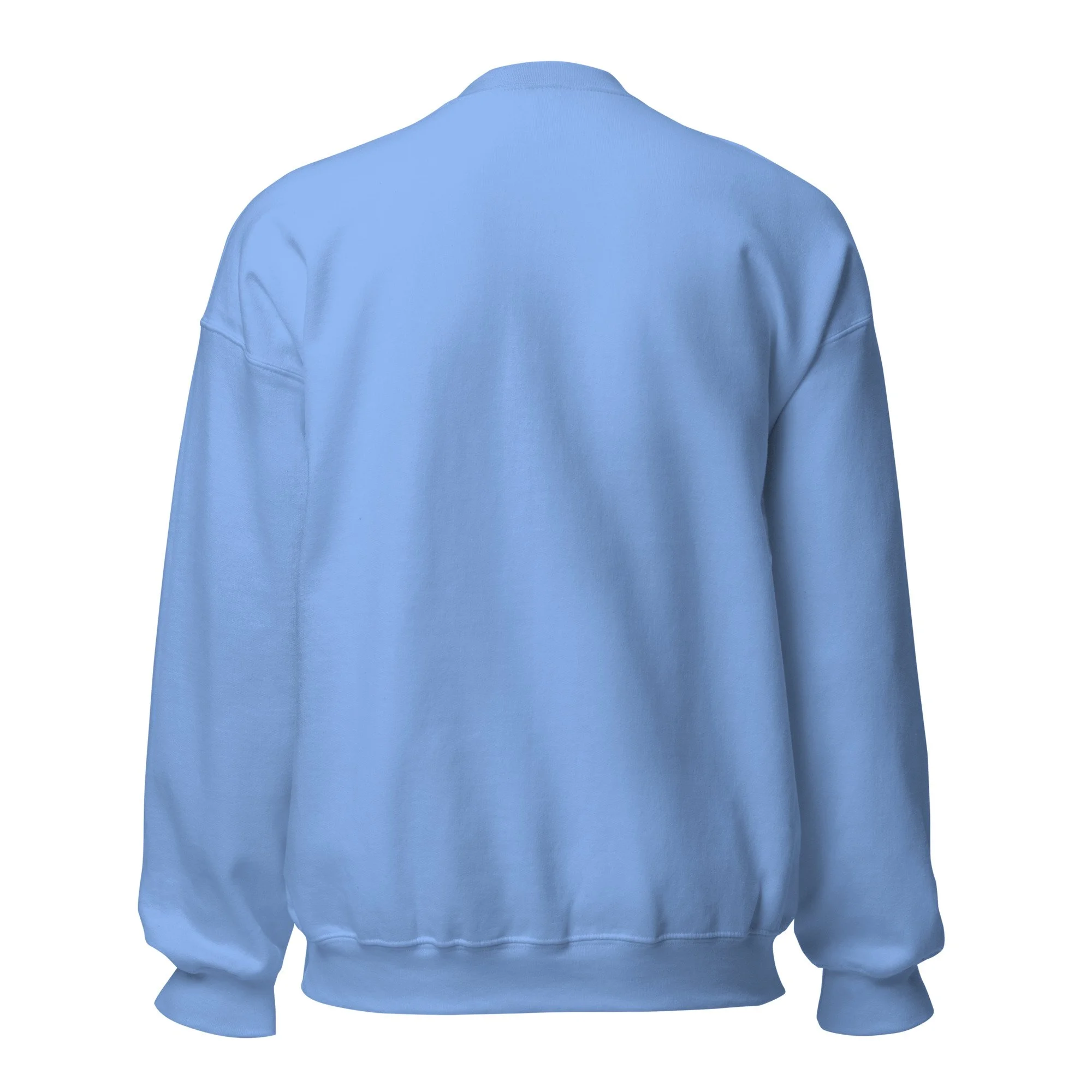 unisex-crew-neck-sweatshirt-carolina-blue-back-6a39743e69ee3.jpg