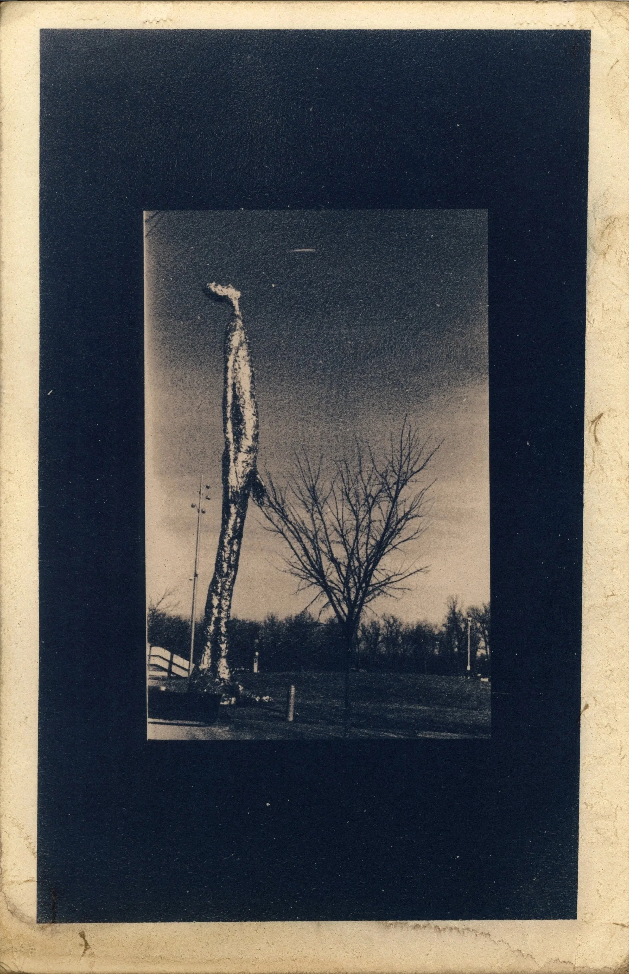 Cyanotype toned with coffee