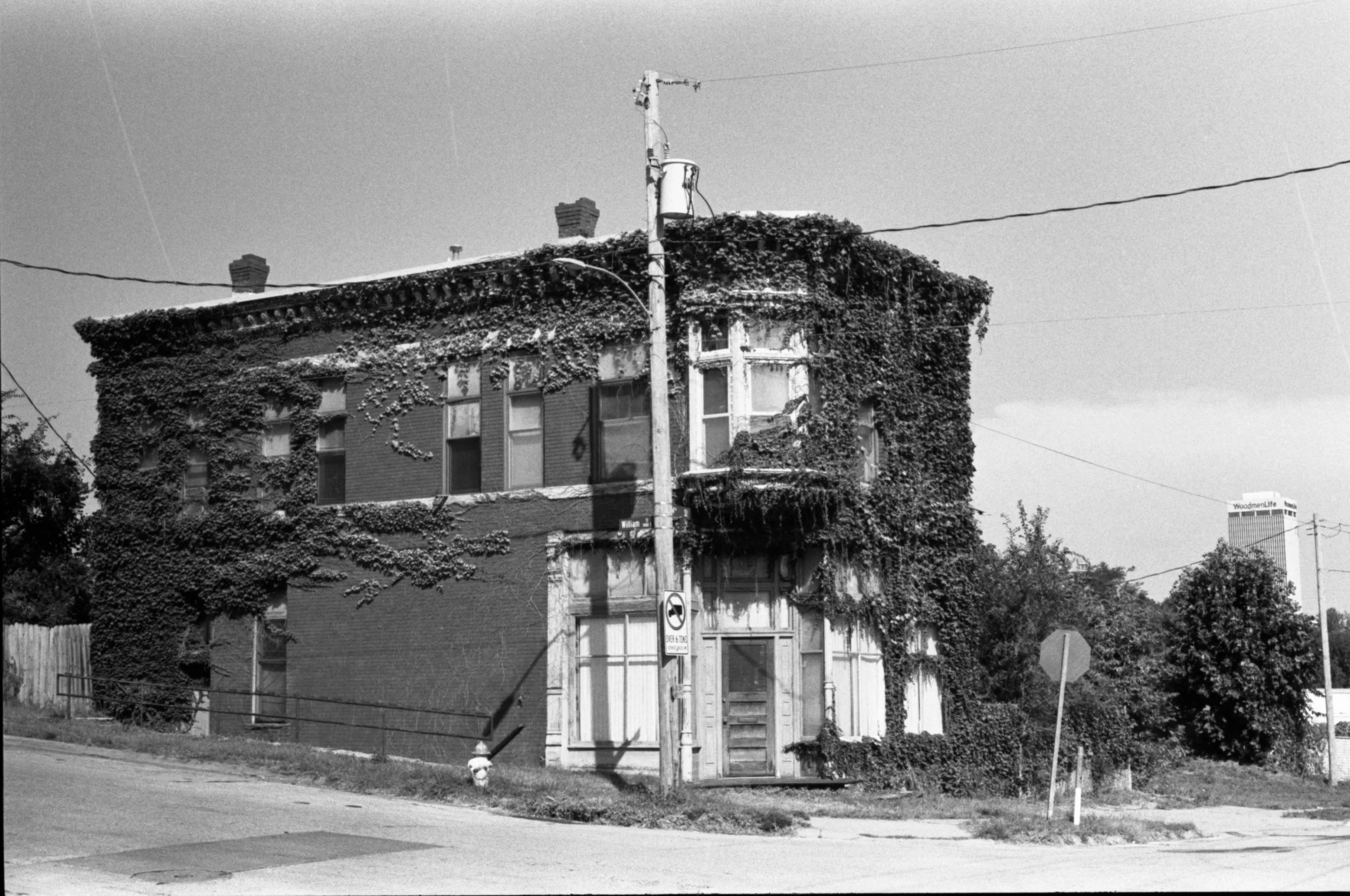 A building covered with ivy vines, with several windows on its facade, a utility pole with wires, and a street sign in front of it.