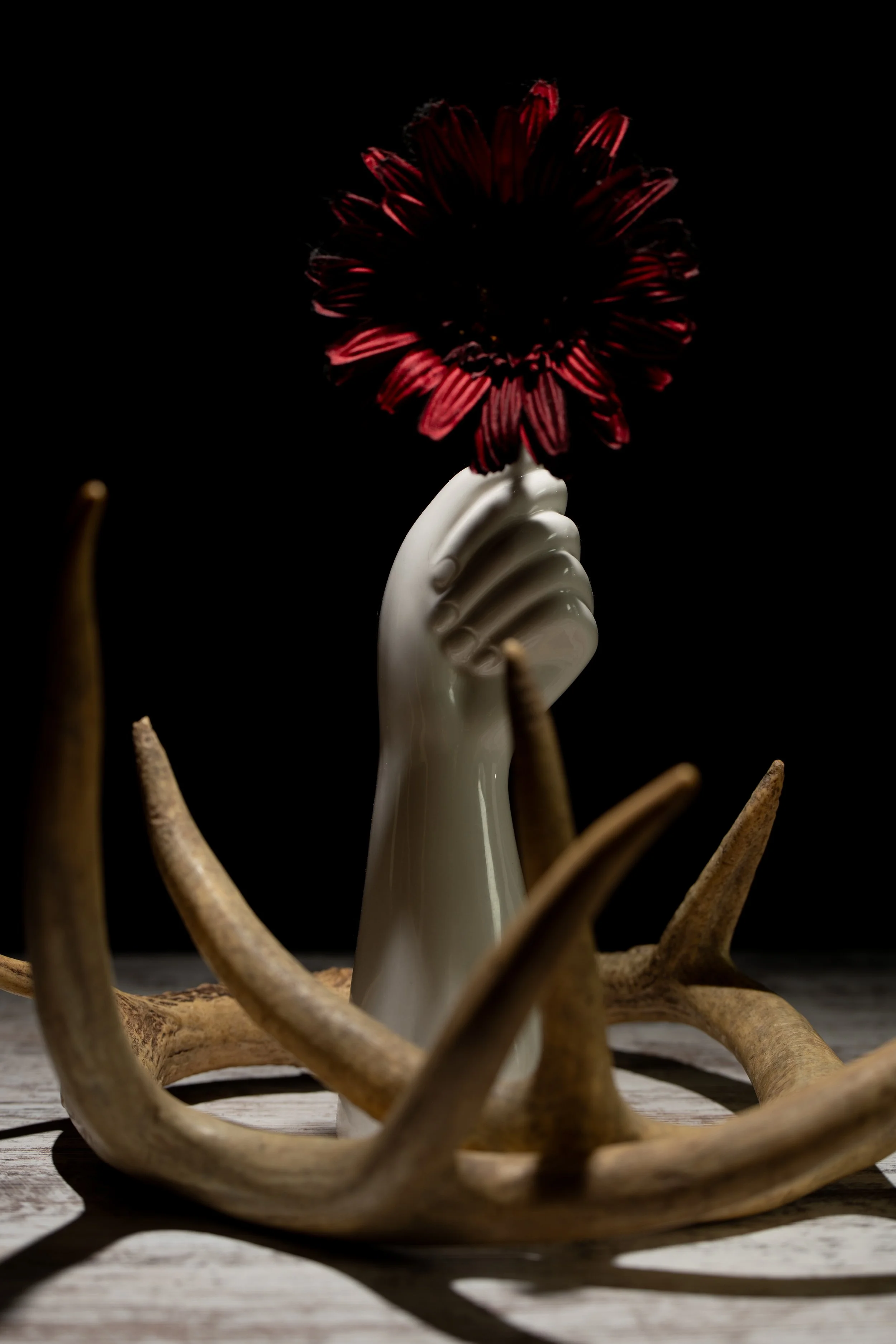 A white ceramic hand sculpture holding a dark red flower, surrounded by animal antlers on a wooden surface with a dark background.