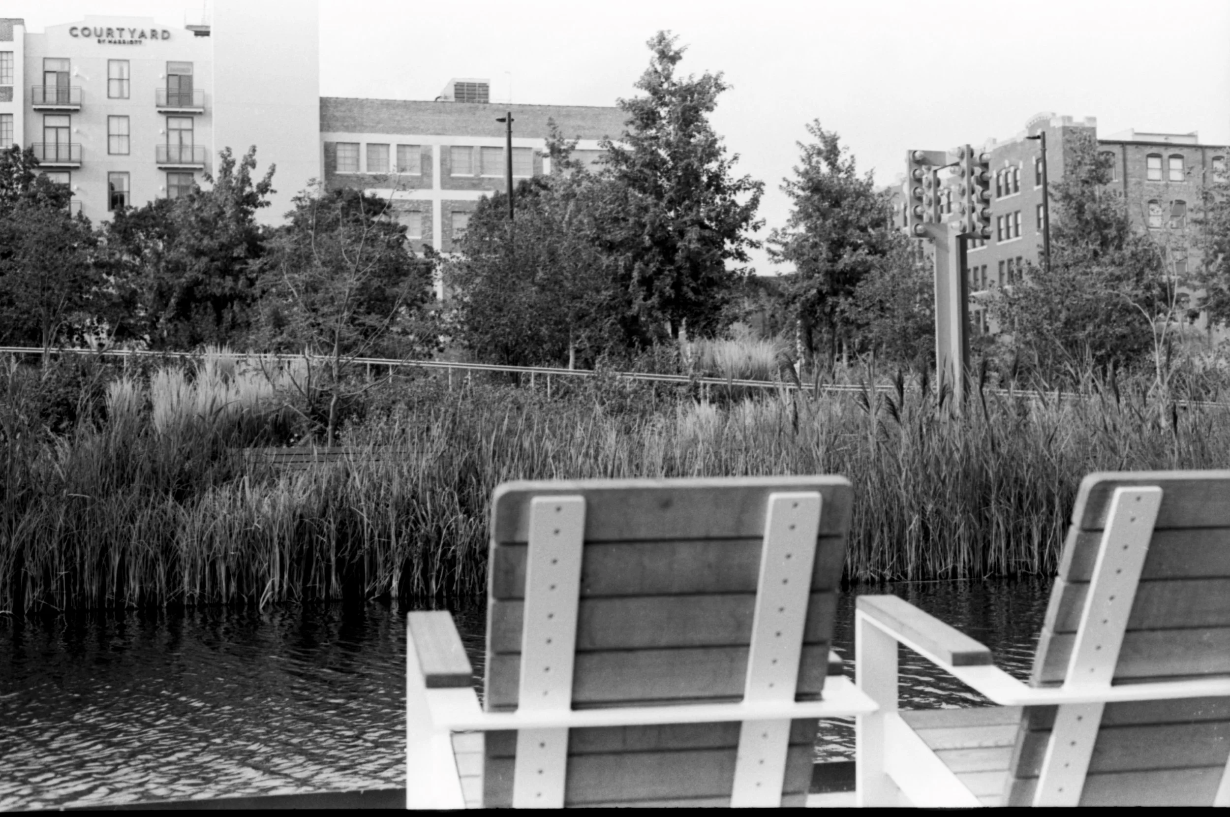 Black and white photo of two benches near a river with trees and buildings in the background.