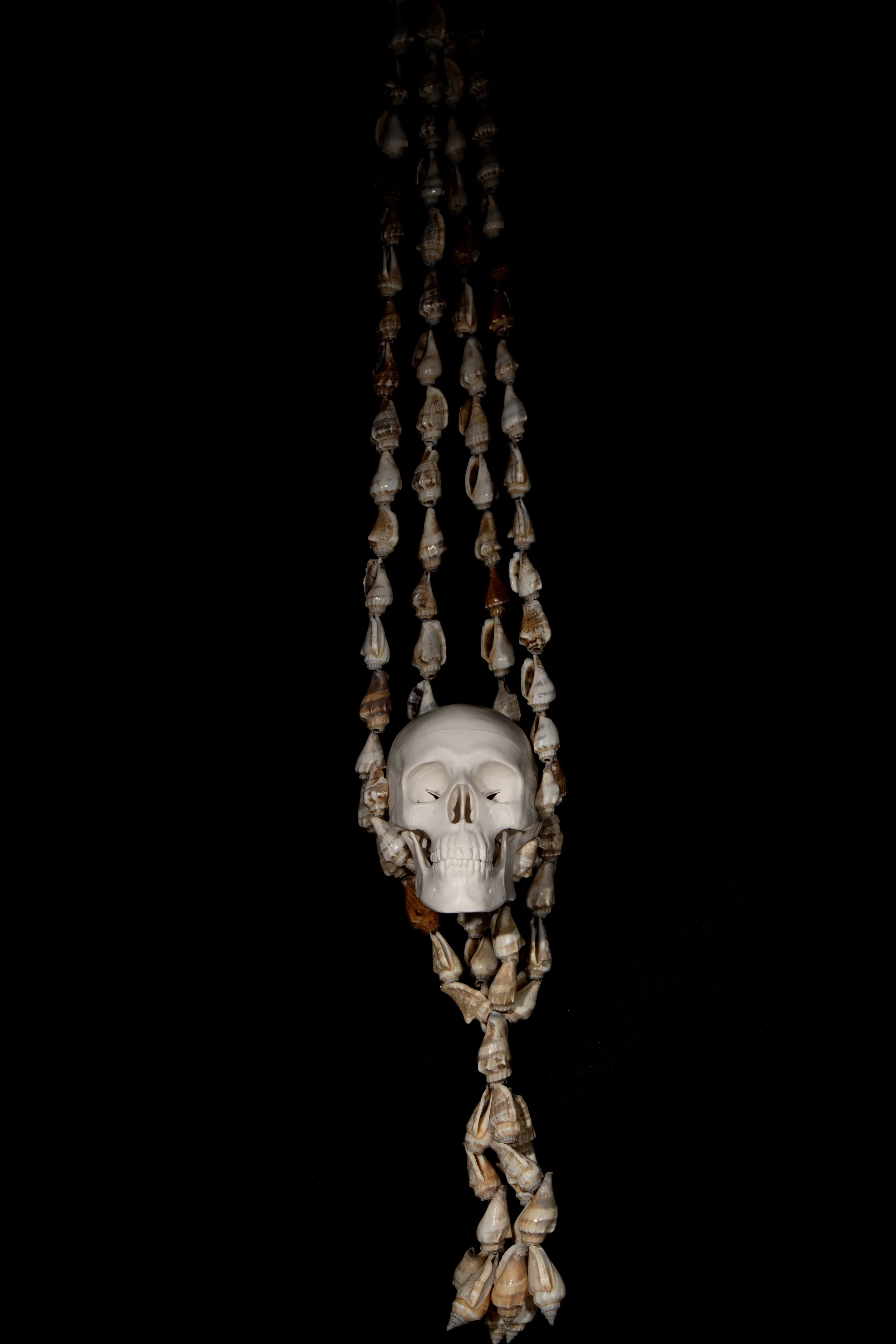 A hanging string of seashells with a skull in the middle, set against a black background.