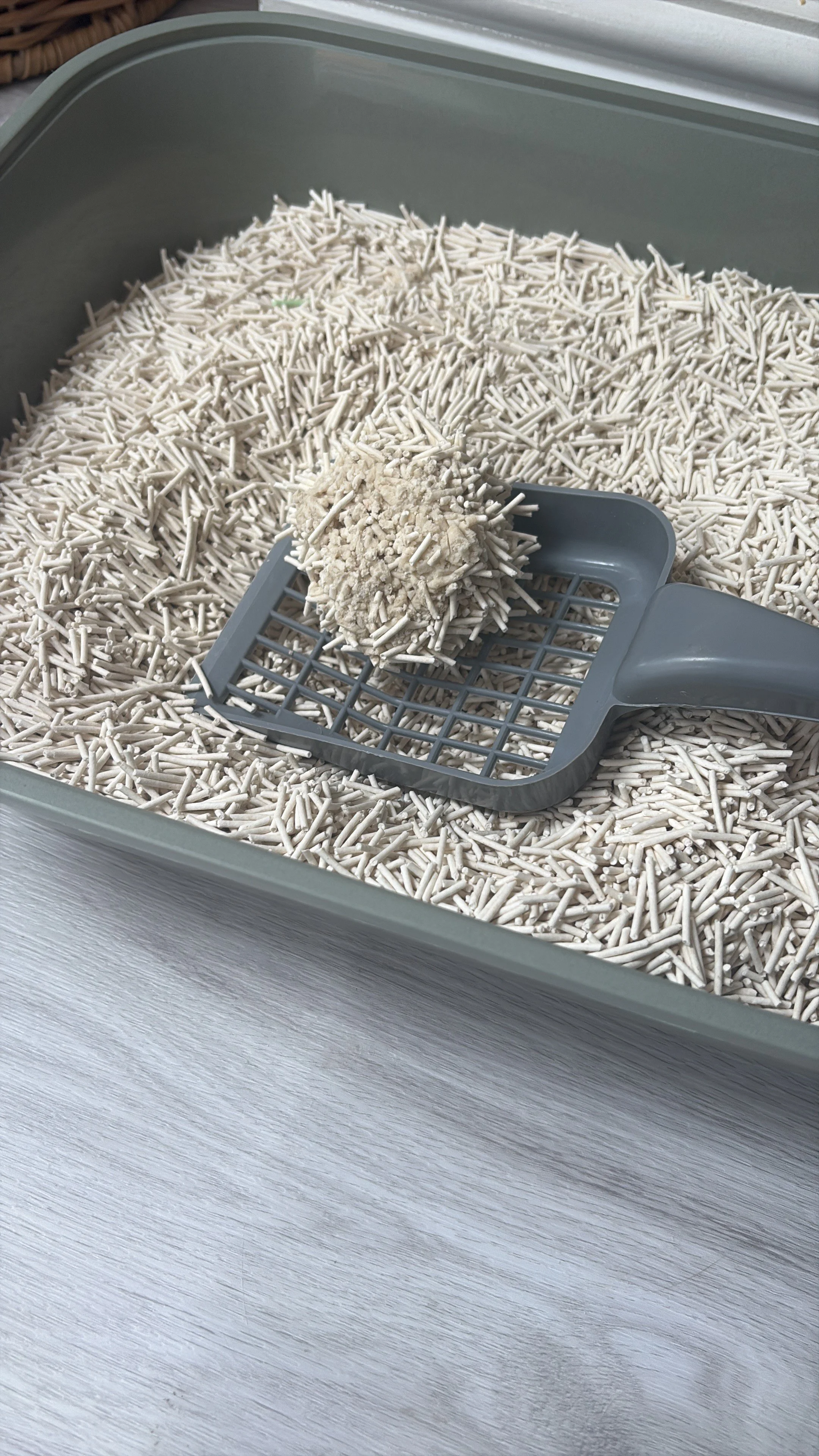 Why PurrStainable works well for rescues and catteries