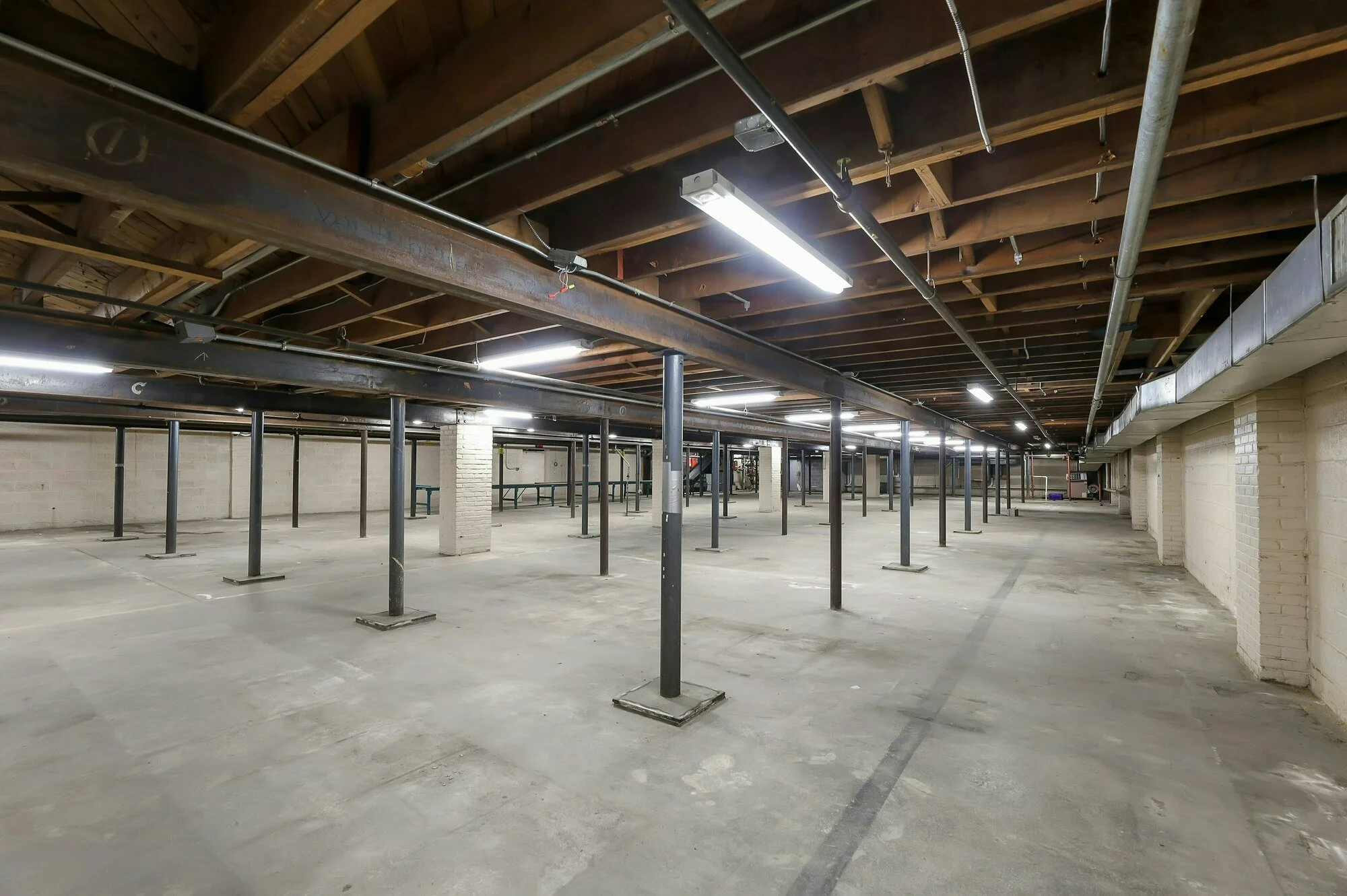 406_E_Madison_Ave_Dumont_Basement_3.jpg