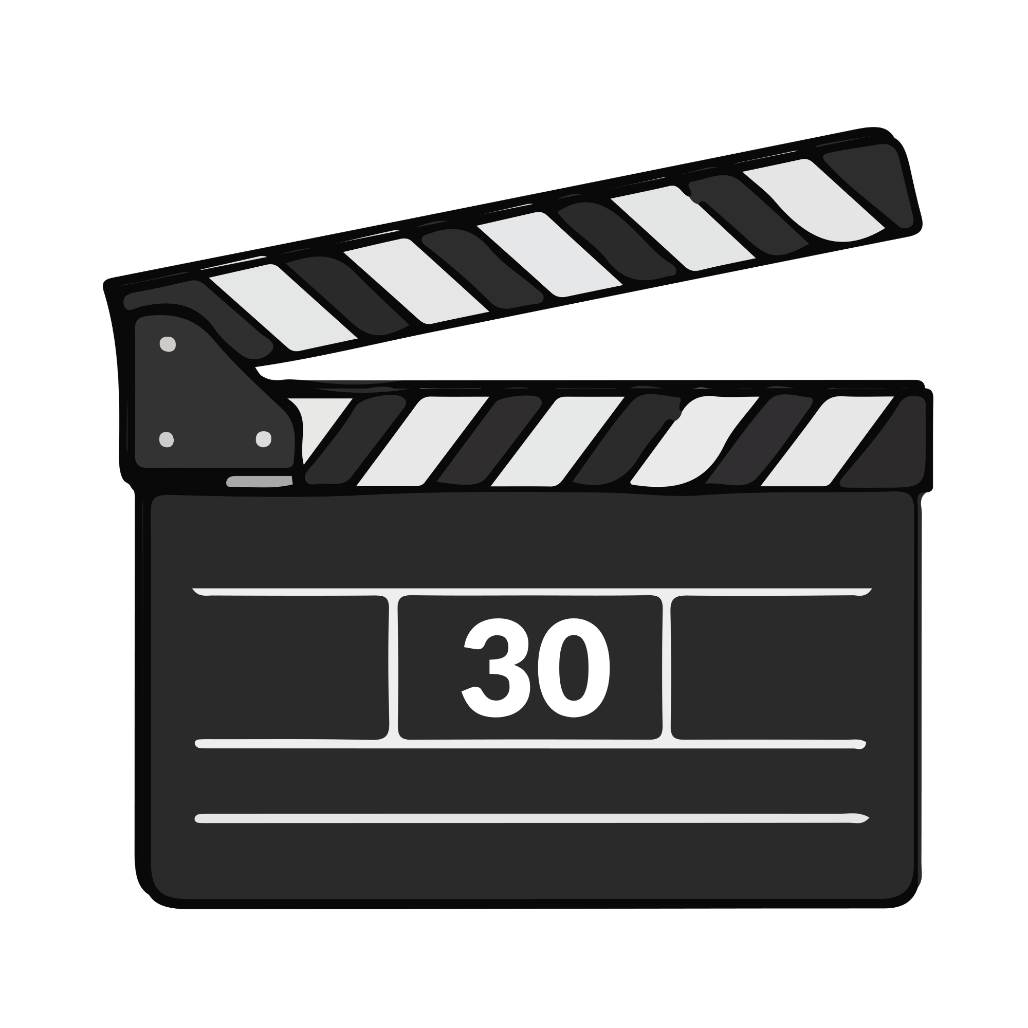 Mic 30 Press Record