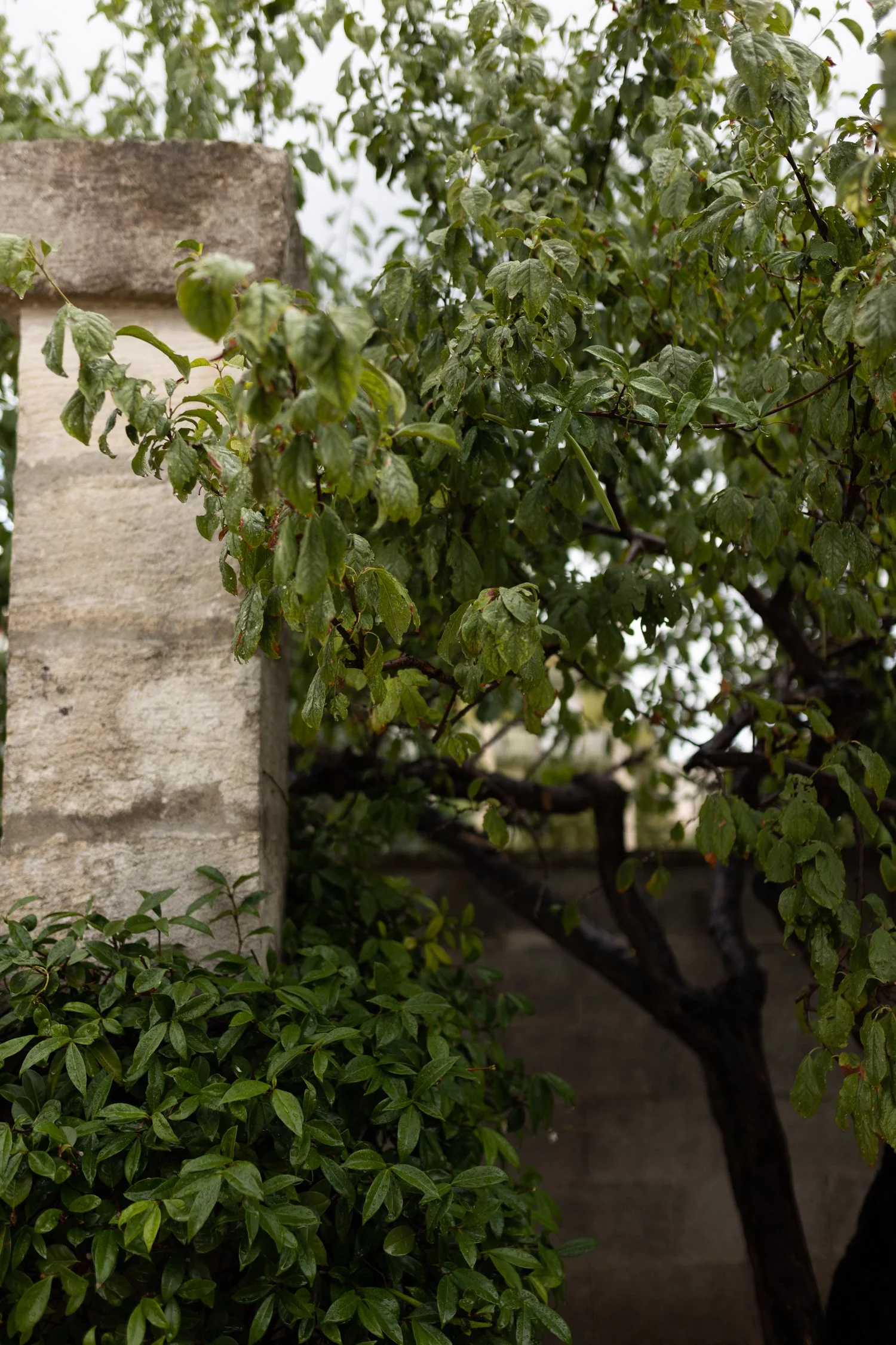 Giardino Frannicola-09.jpg