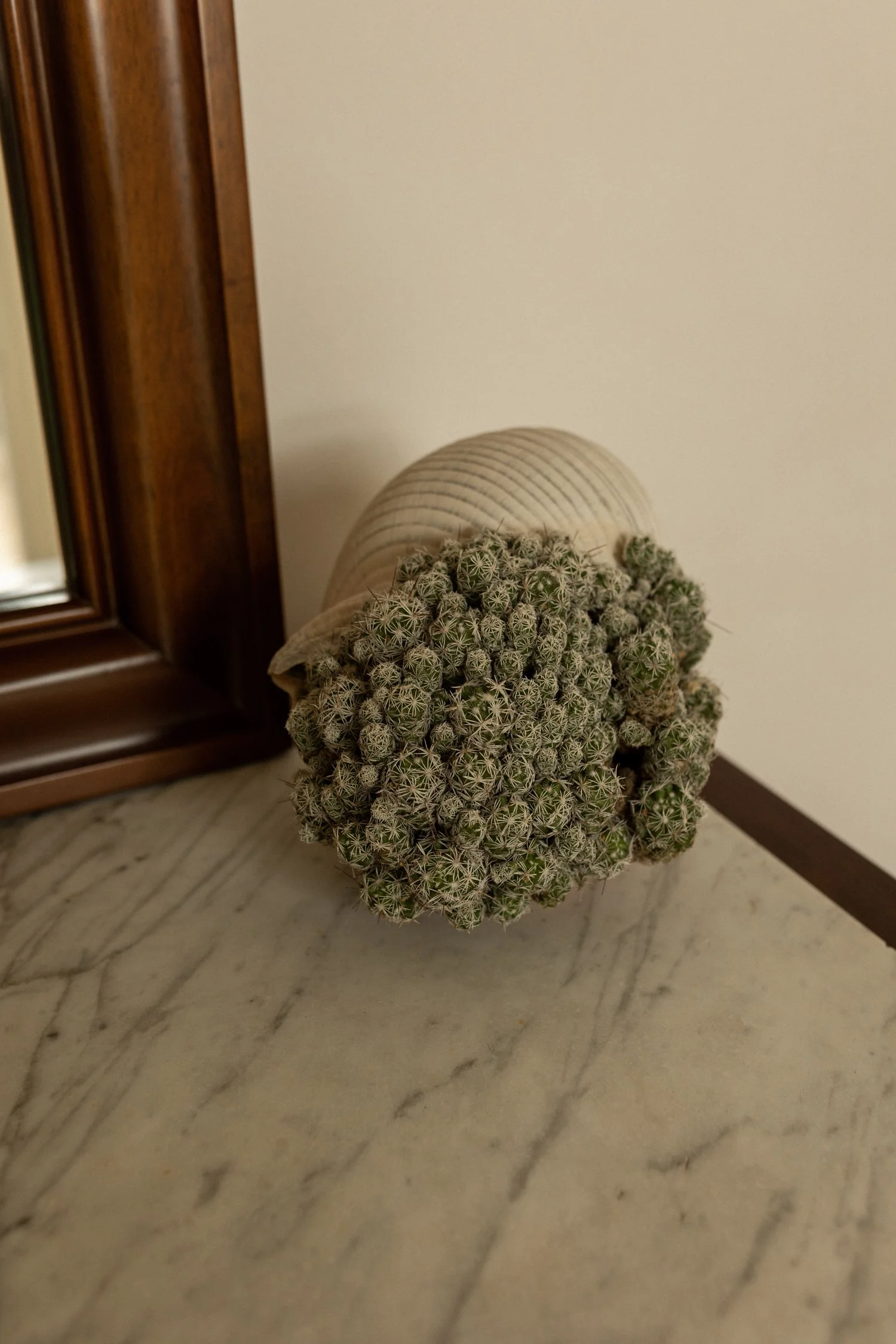 Giardino Frannicola-21.jpg