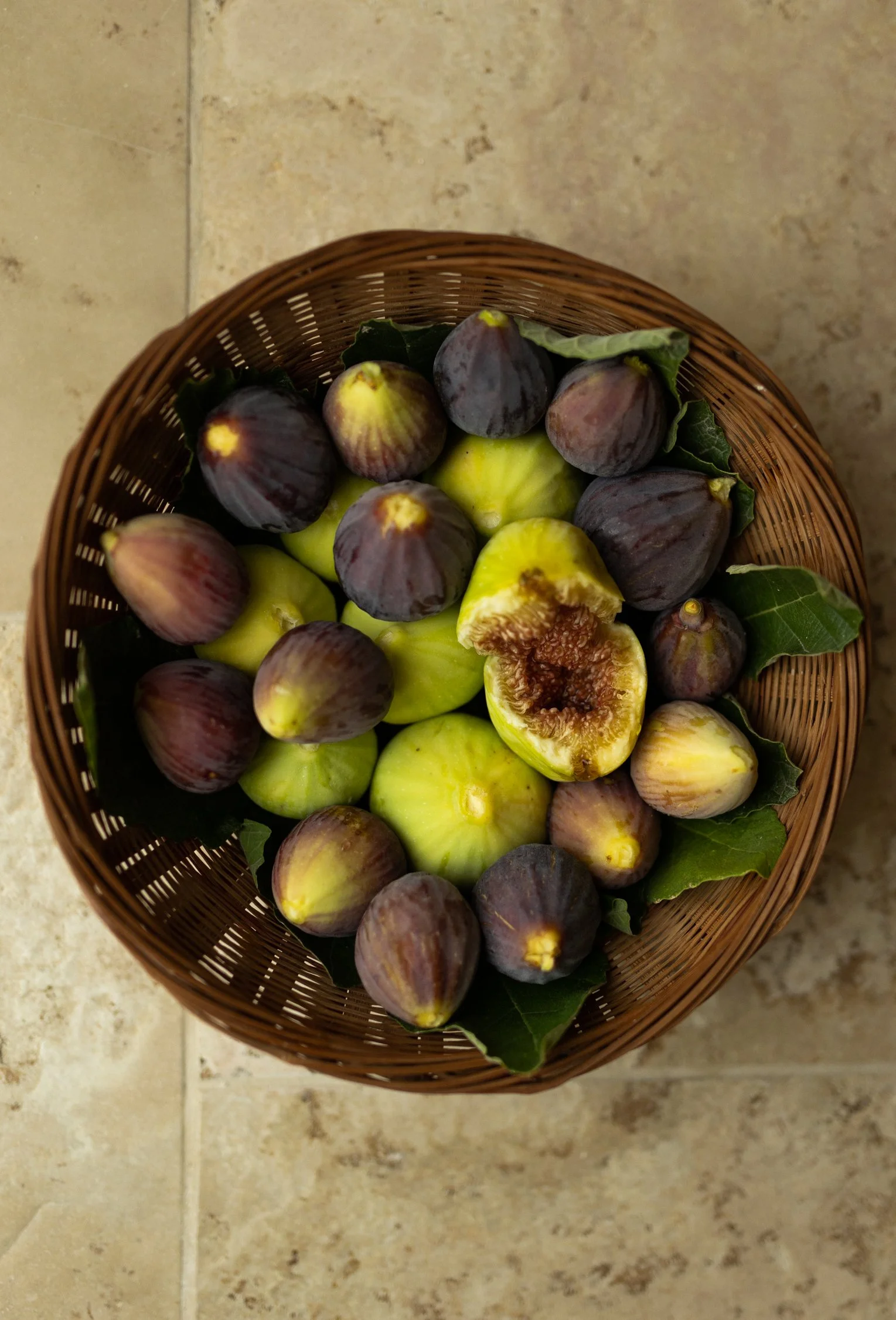 Giardino Frannicola-17.jpg