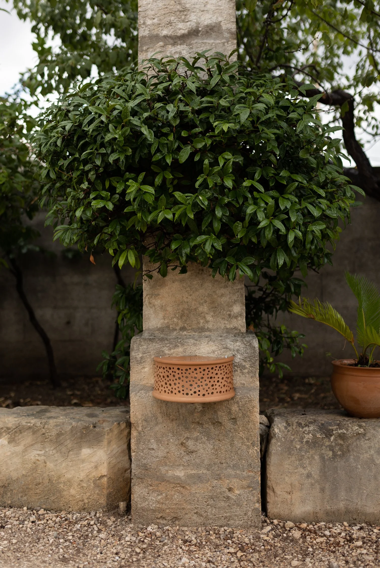 Giardino Frannicola-08.jpg