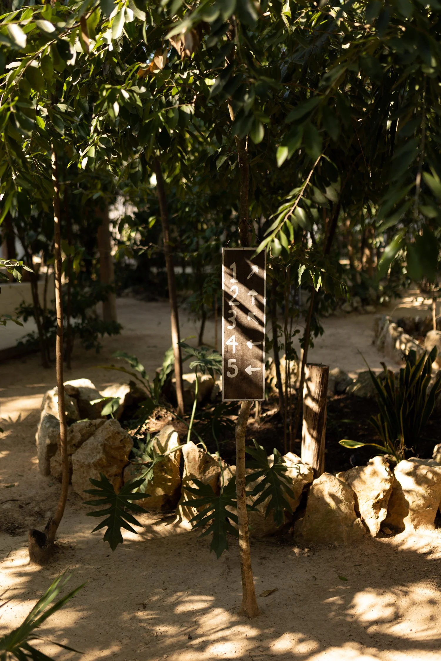 Acacia Tulum a healing ambience-12.jpg