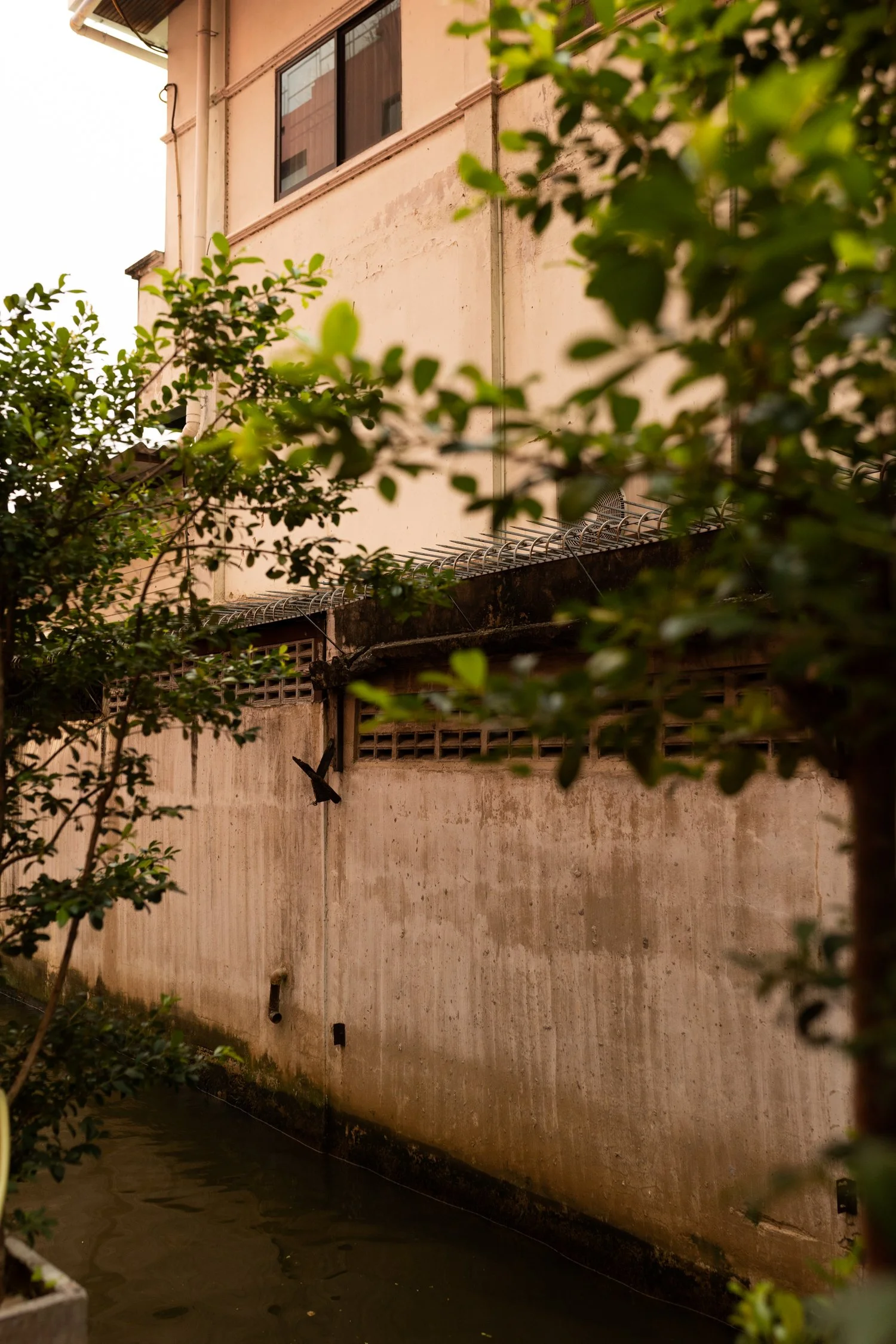 Amdaeng Bangkok Riverside Hotel-202.jpg