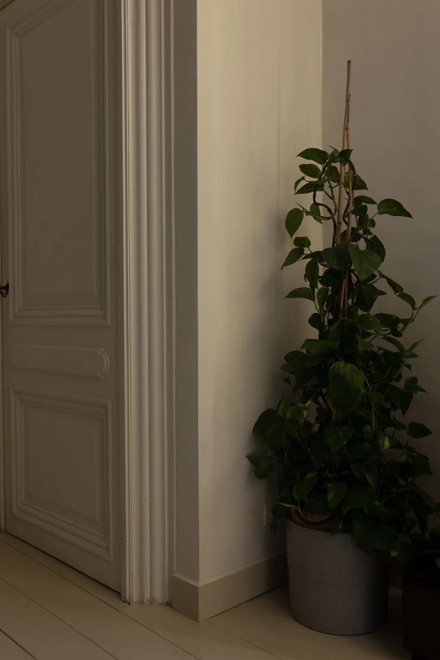 Antwerp uncommon Bed & Breakfast, Boulevard Léopold-099.jpg