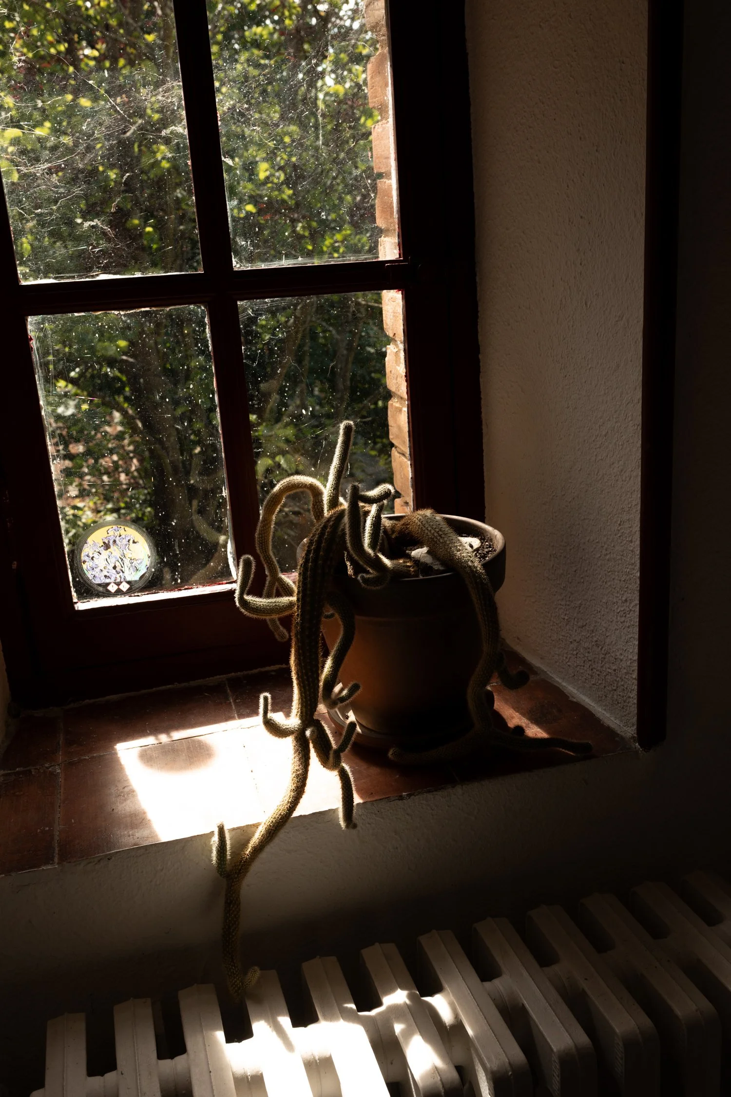 Chez Rosette_ A Stay That Feels Like a Quiet French Film-090.jpg