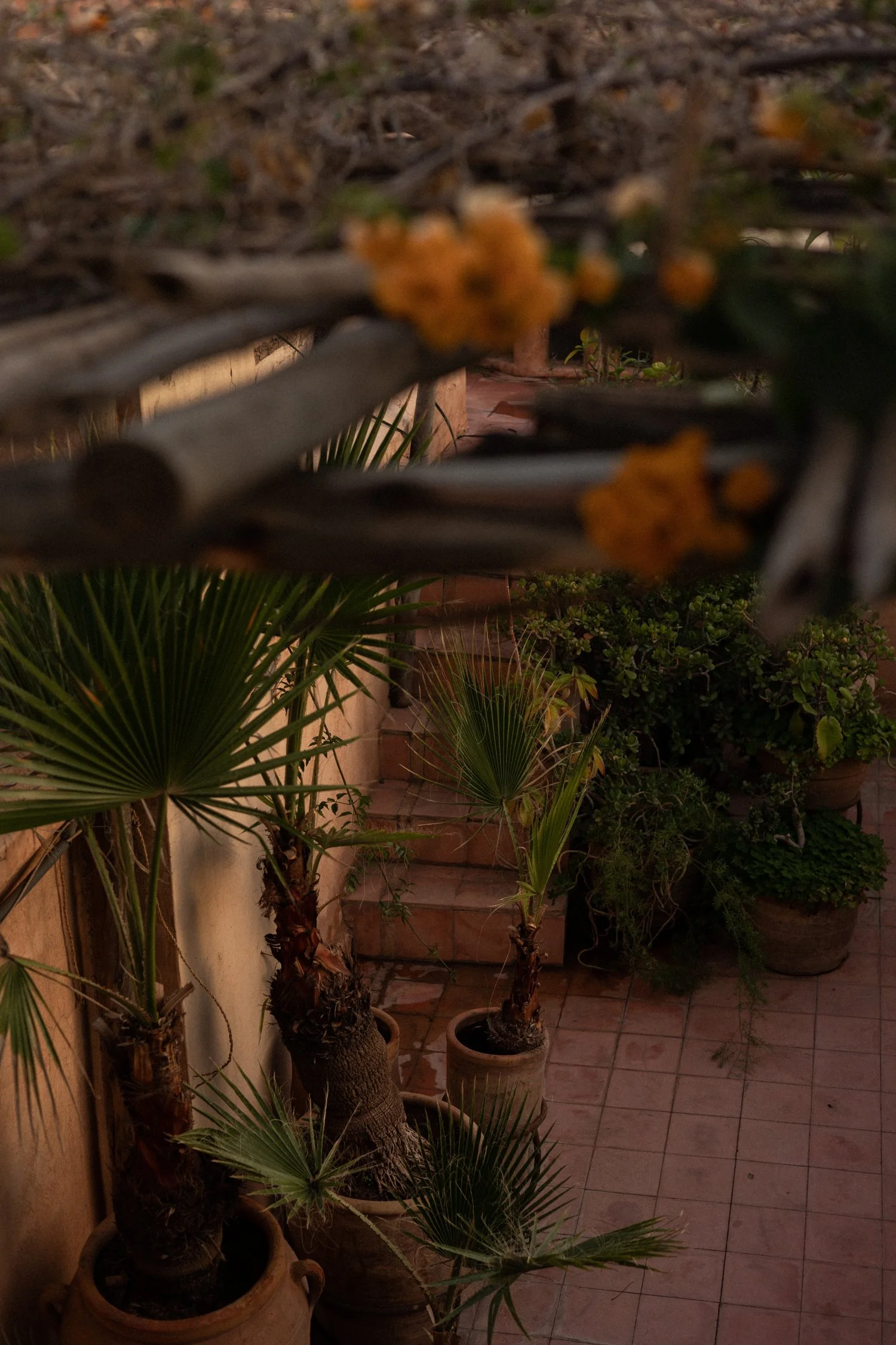 Dar Rbaa Laroub_ A Hidden Oasis of Tranquillity in Marrakech's Medina-024.jpg