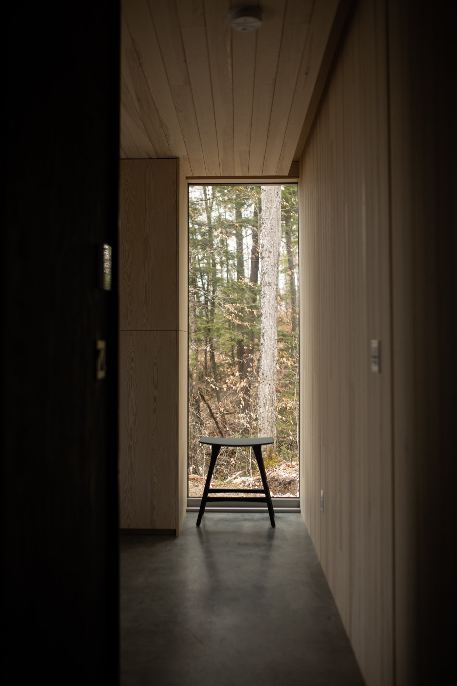 Discussing sustainability, future projects and NFTs with Mauricio Padilla, founder of Hinter-54.jpg