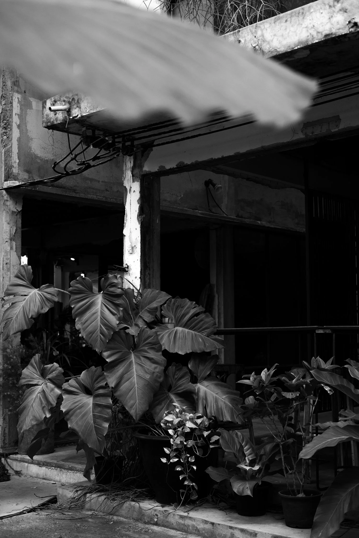 GalileOasis Hotel_ A Creative Hub in Bangkok-038.jpg