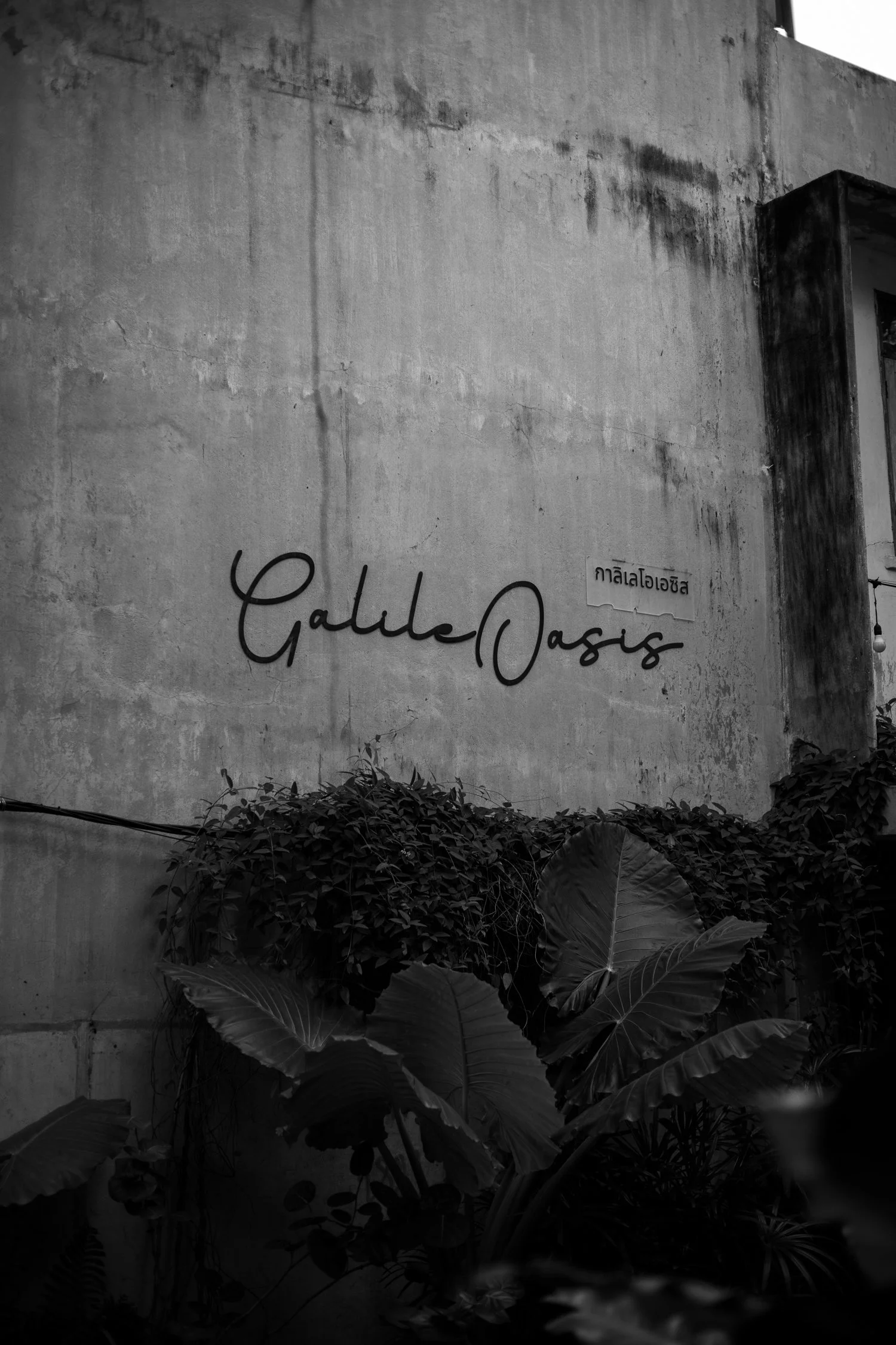 GalileOasis Hotel_ A Creative Hub in Bangkok-129.jpg